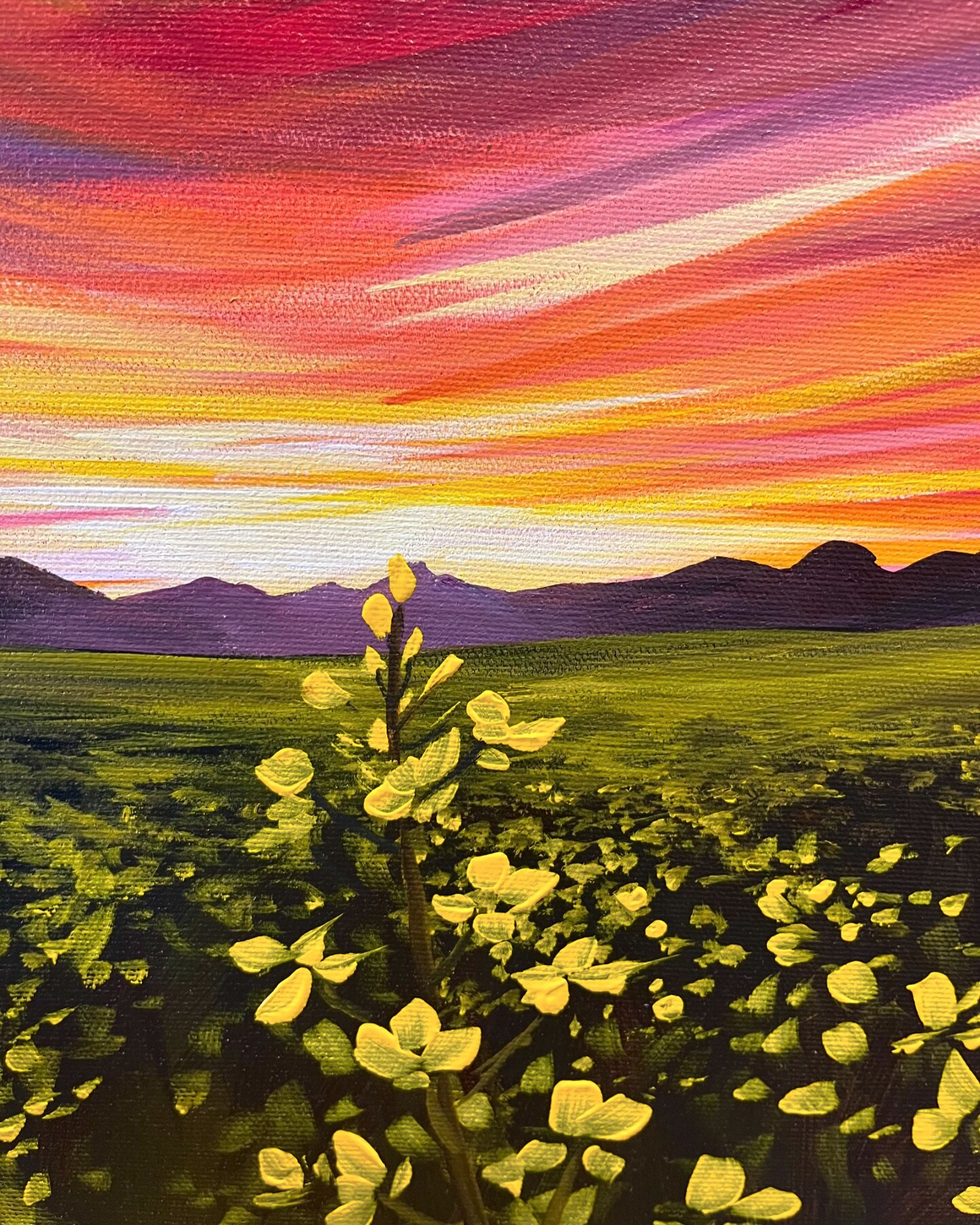 Up close with one of my newest ✨! Working on a small piece and a large statement piece featuring this theme. I can&rsquo;t get enough of it! Sunsets, mountains, canola gold&hellip;

#cochranealberta #travelalberta #explorealberta #canolasunset