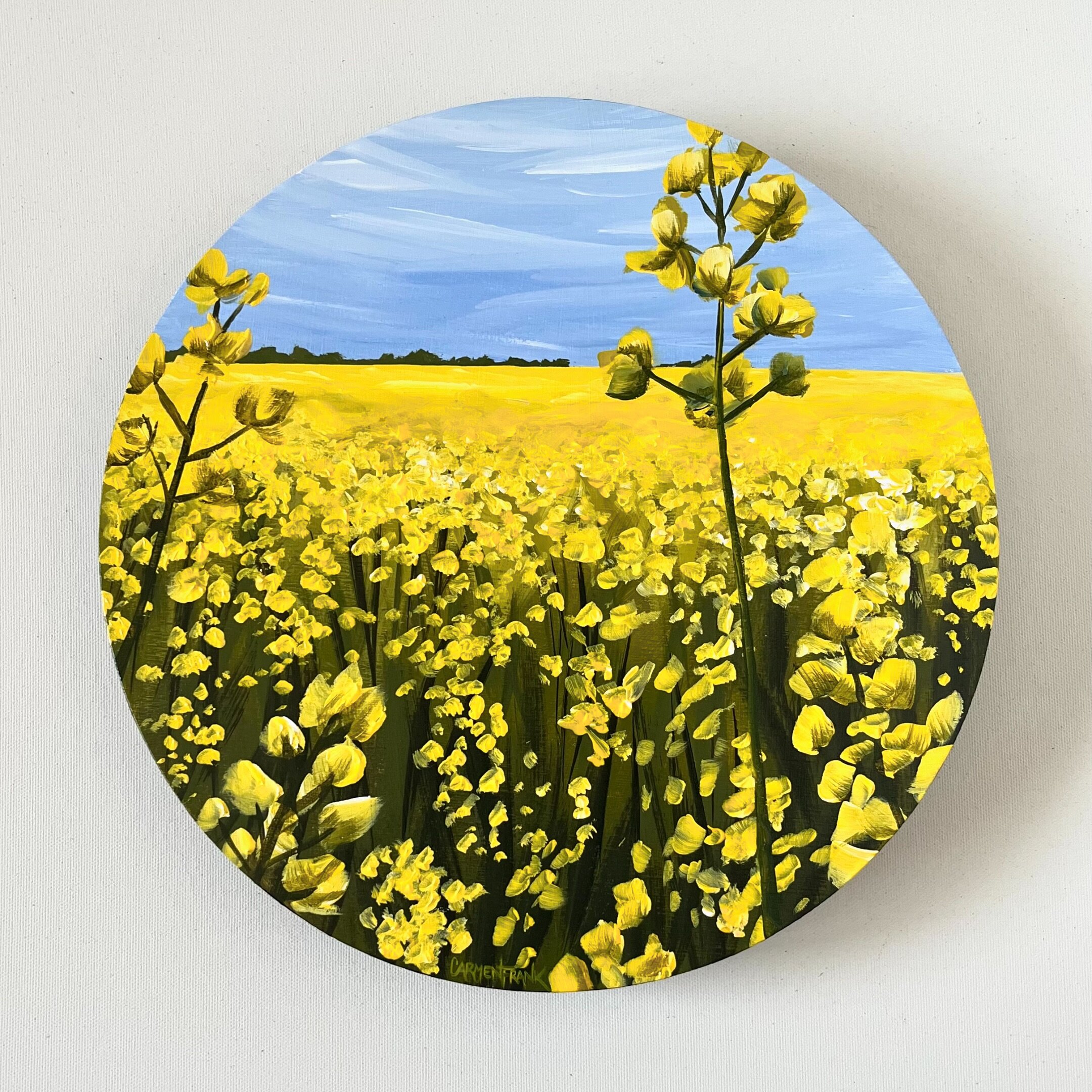 Throwback to a golden summer day. I&rsquo;m working on a new piece that takes this scene into a moody, vibrant sunset.  Stay tuned! 

Medallion (Sold 🔴)

#canola #canadianprairies #calgaryarts