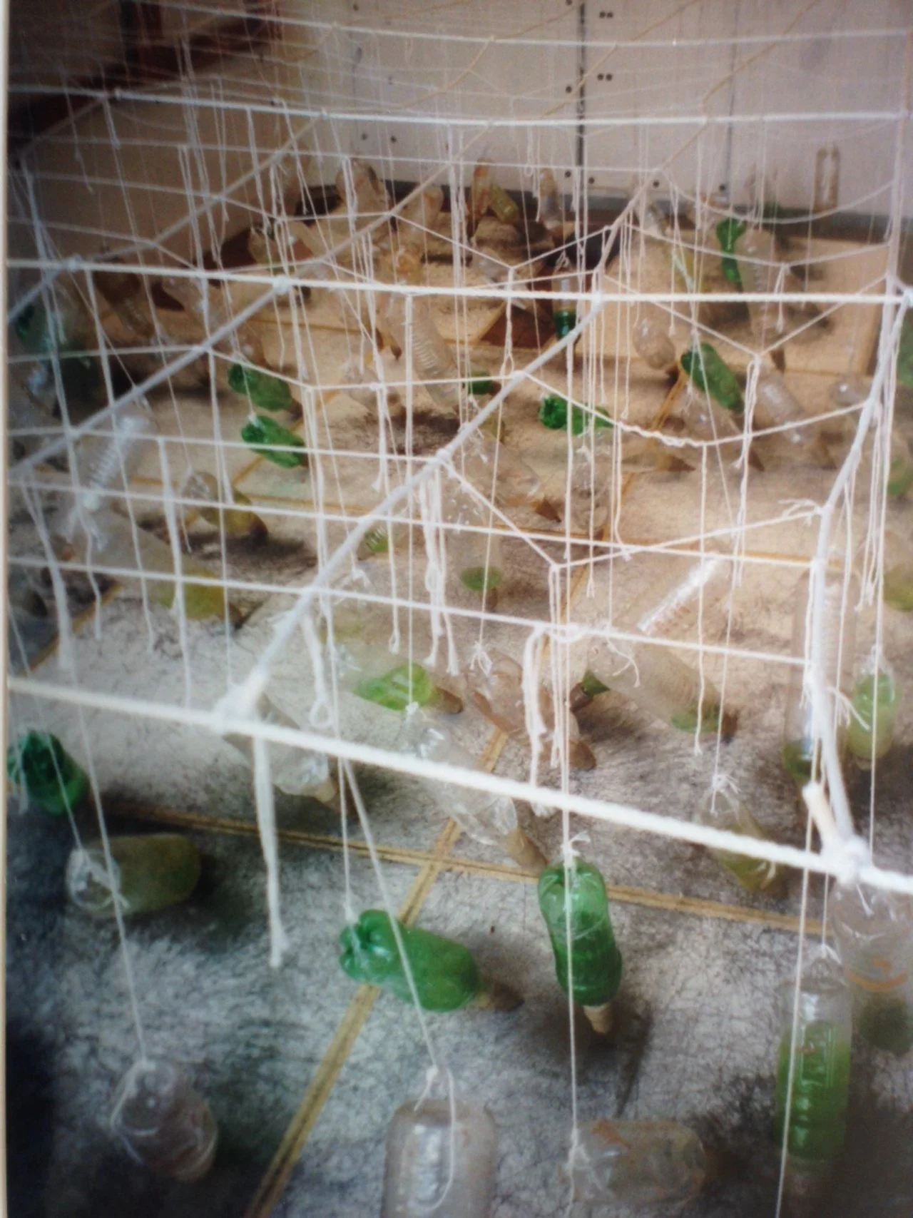 Truck_bottles.JPG