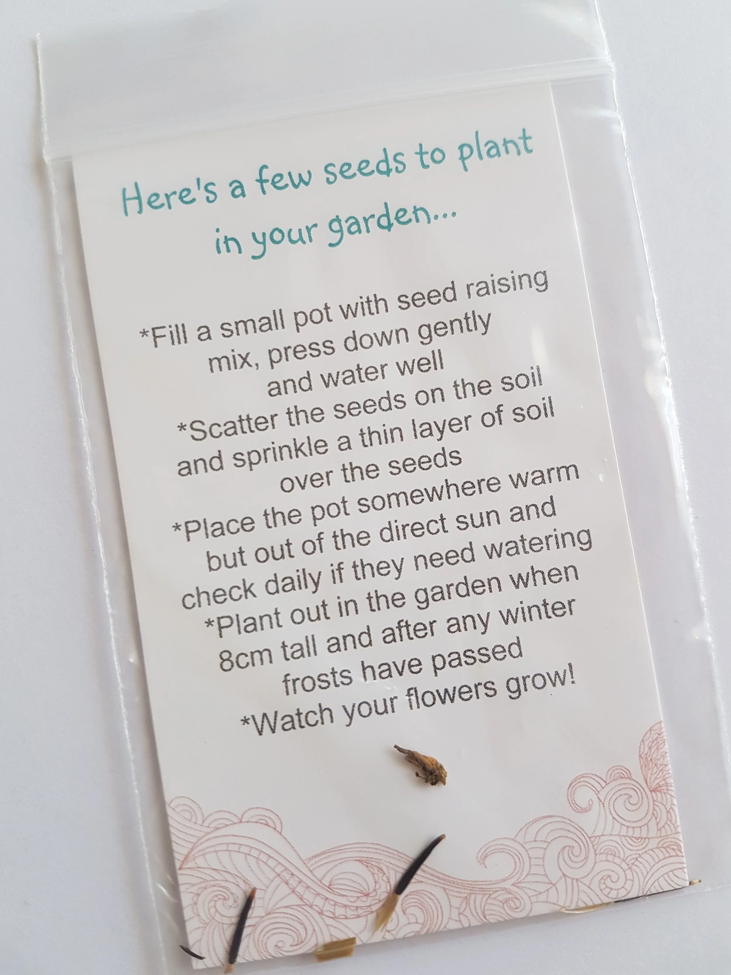 In Real Life: Real Friends Seeds, Bags and Cards Pack of 20