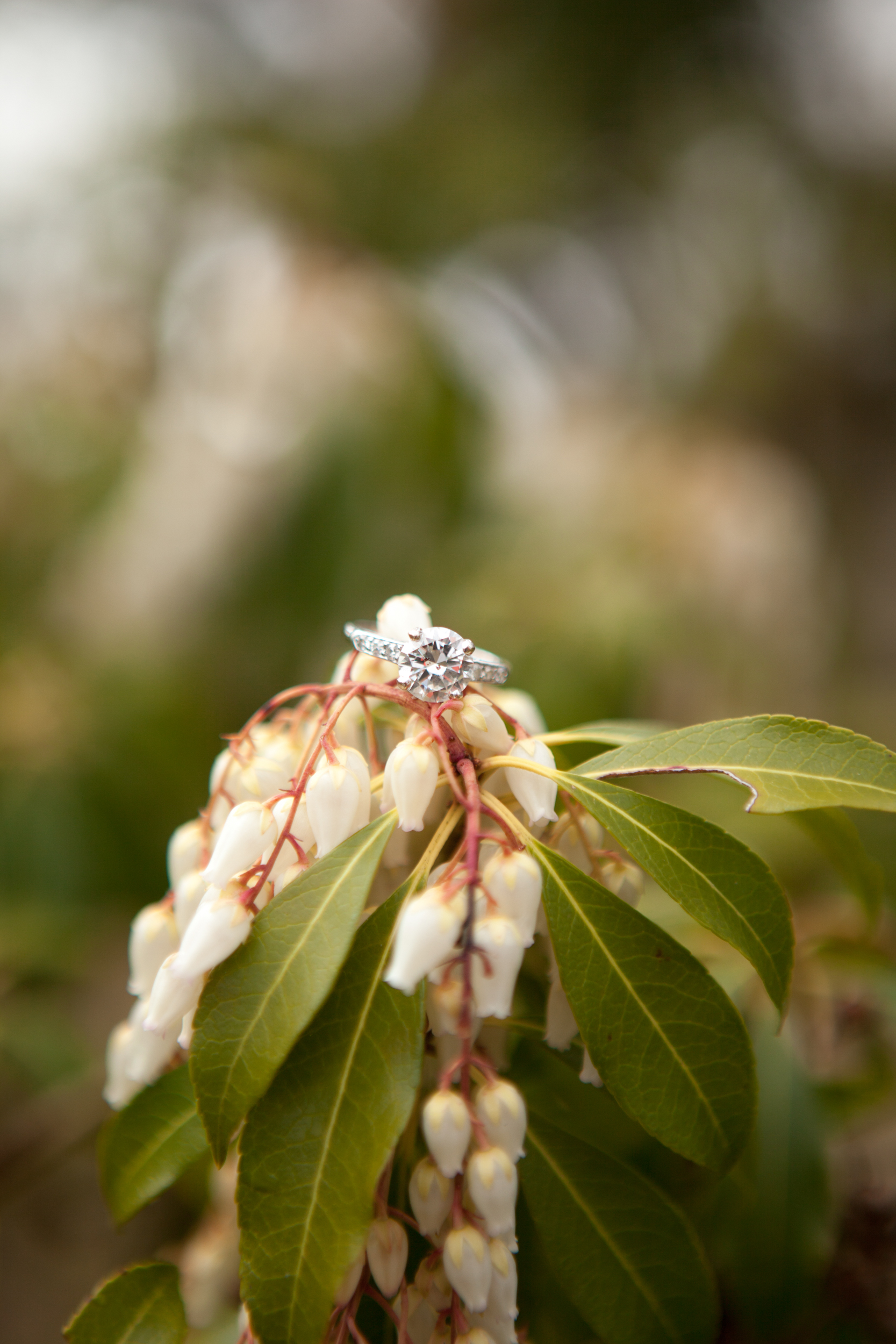 Annie and WIll Engagement_0101.jpg