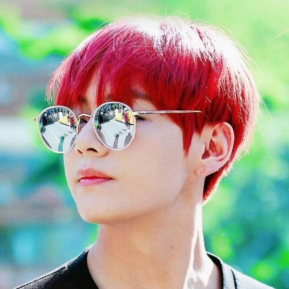 Will Taehyung have solo projects in 2019?