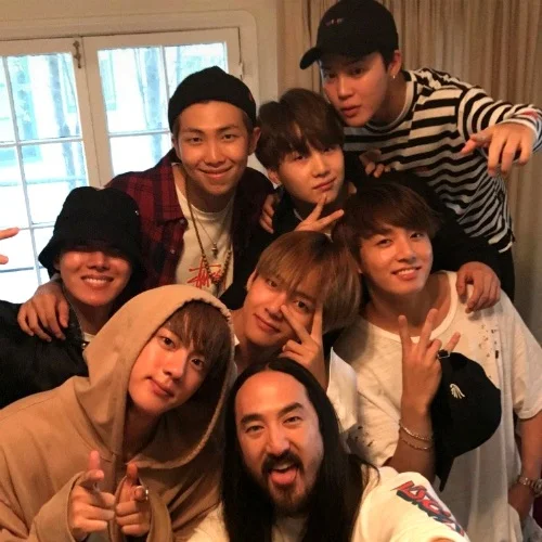 How do BTS and Steve Aoki see each other?