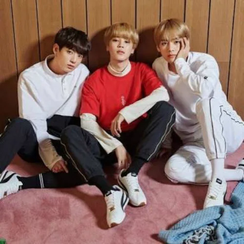 How The BTS Maknae Line Connect