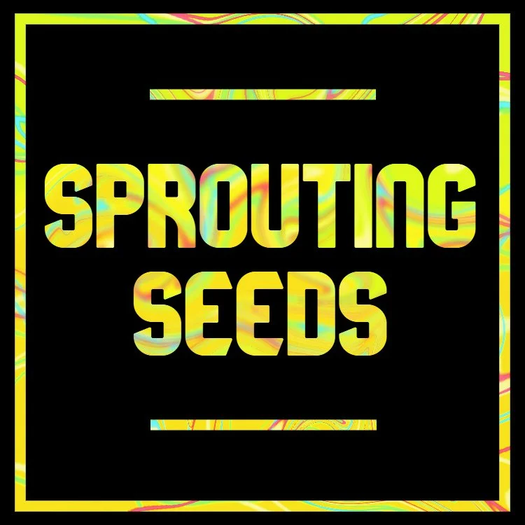 Sprouting Seeds Main Thumb.jpg