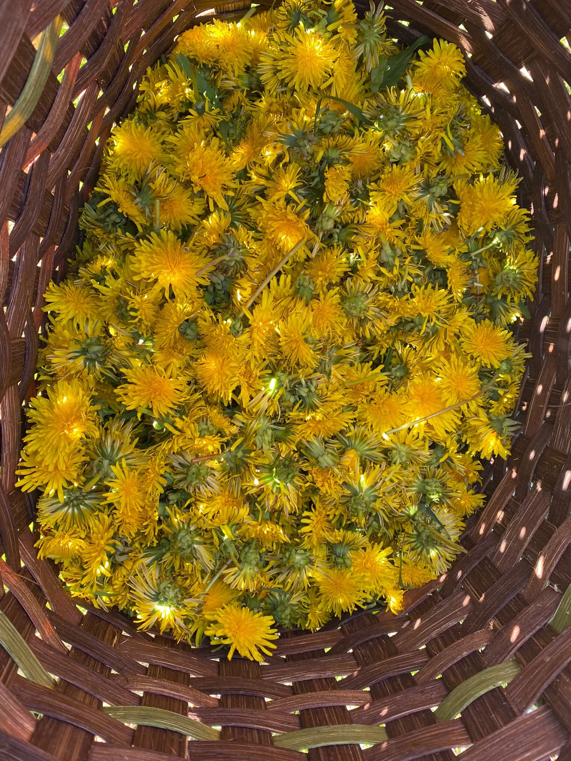 48AC18AB-D287-4C93-862F-43CDB4001AEB