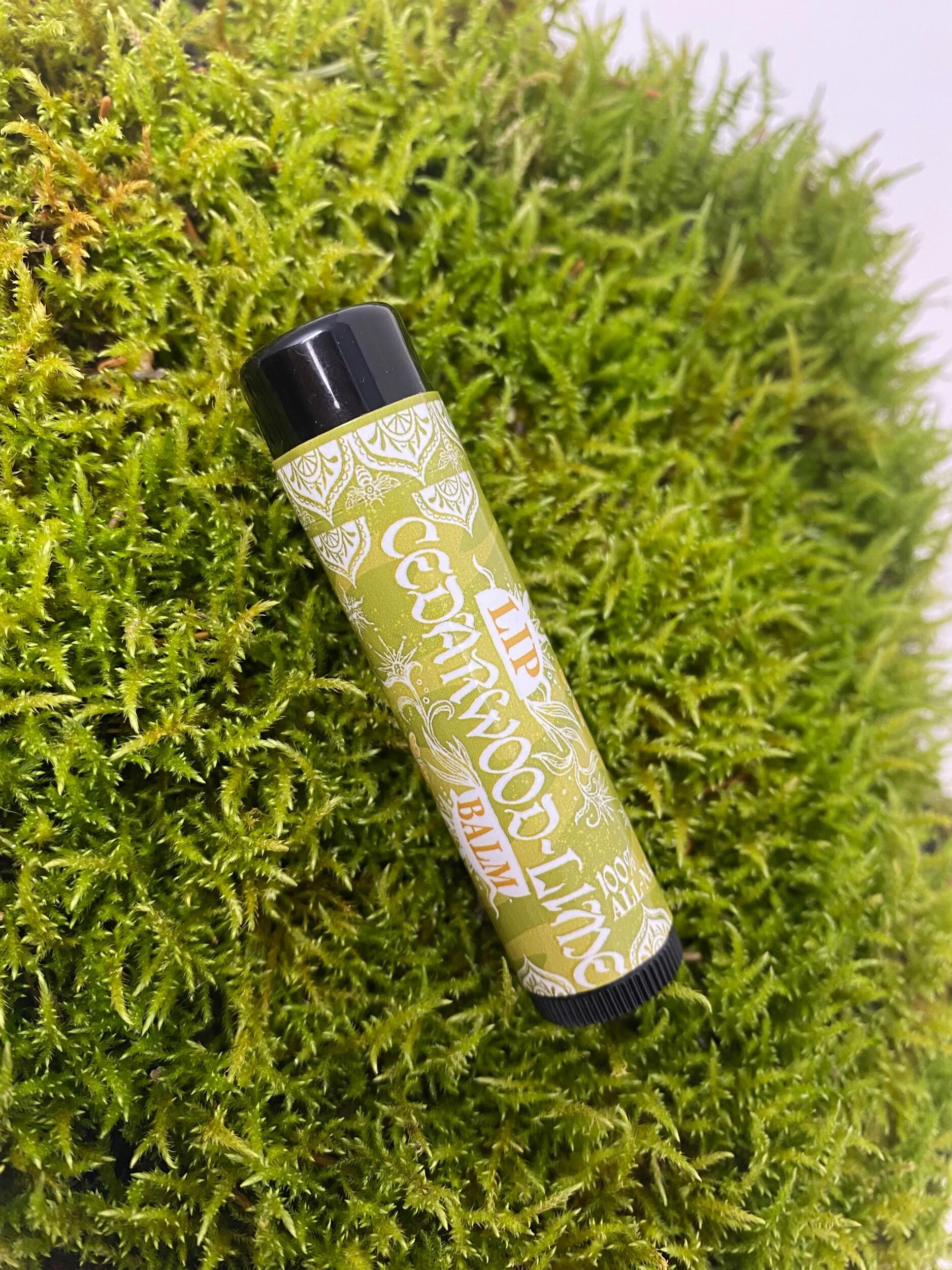 8F08BA22-676A-4683-9ABE-7B7CAA523247