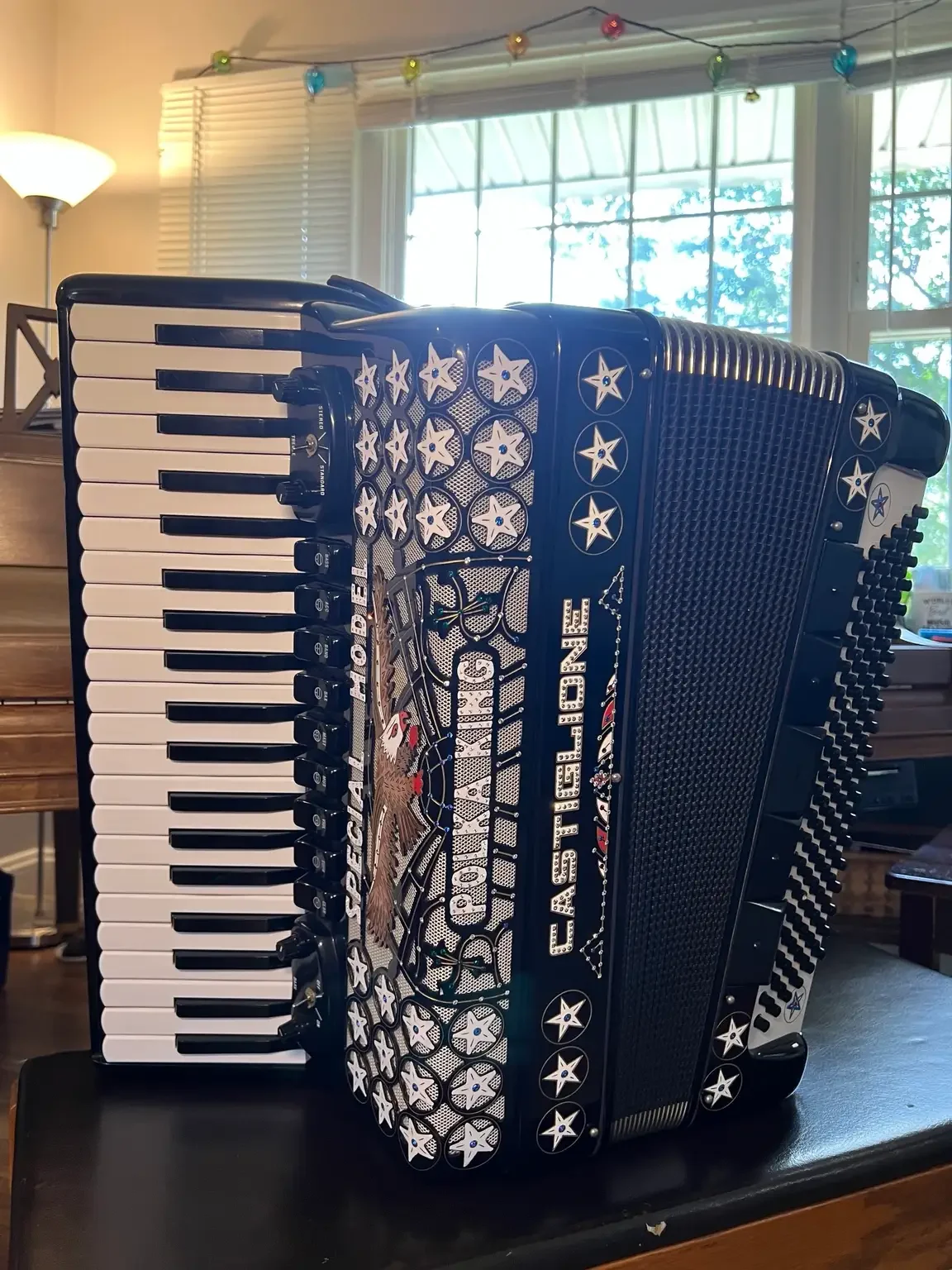 Castiglione Polka King Special Model piano accordion for rent, with black finish, eagle-decorated grille, 41-key keyboard and 120 bass buttons.