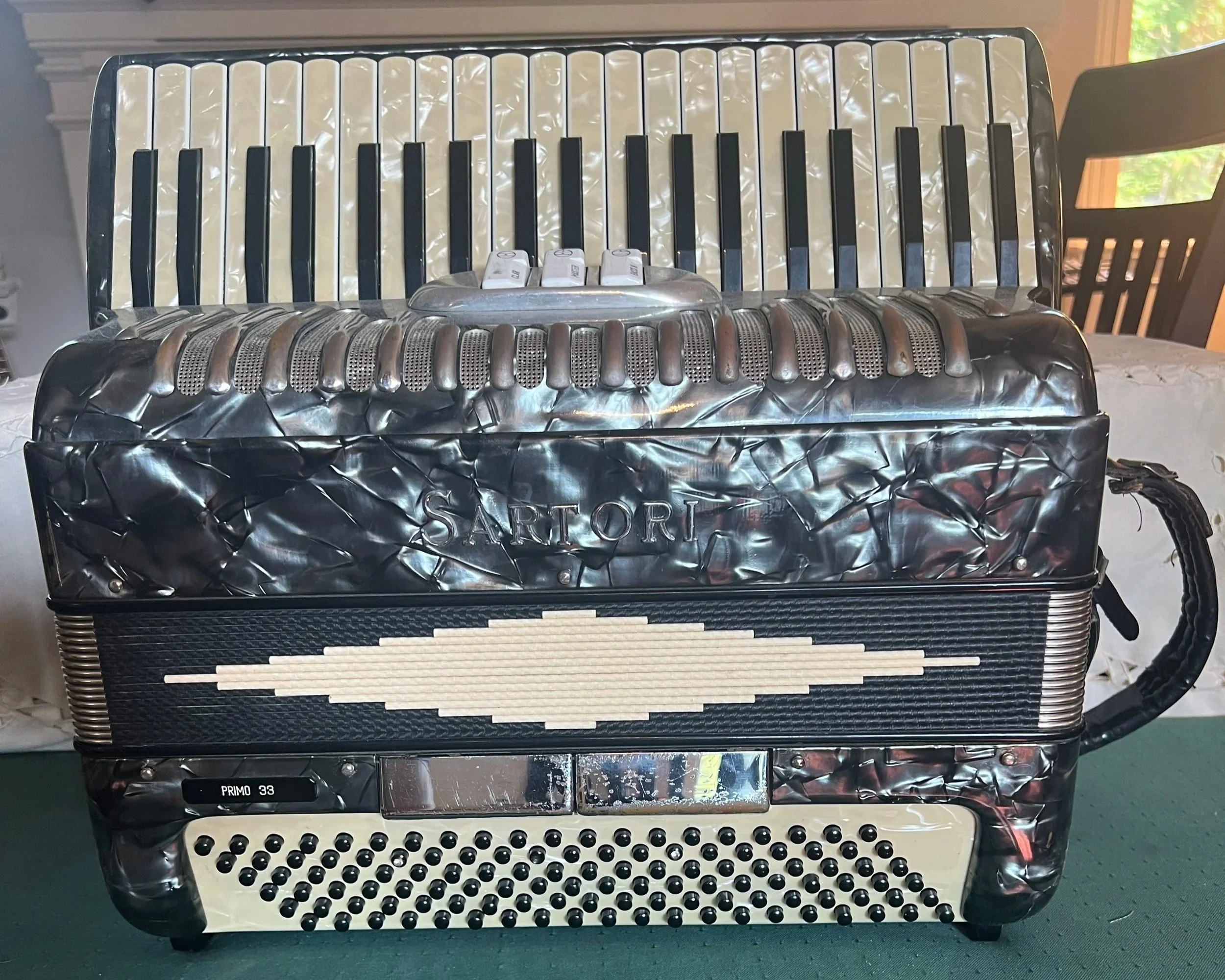 Sartori Accordion accordeon grey fisarmonica bassoon clarinet oboe dry tuning registers 120 bass pearl celluloid instrument folk keyboard piano key keys buttons switches reed reeds 41 lightweight custom music musician band polka for sale consign