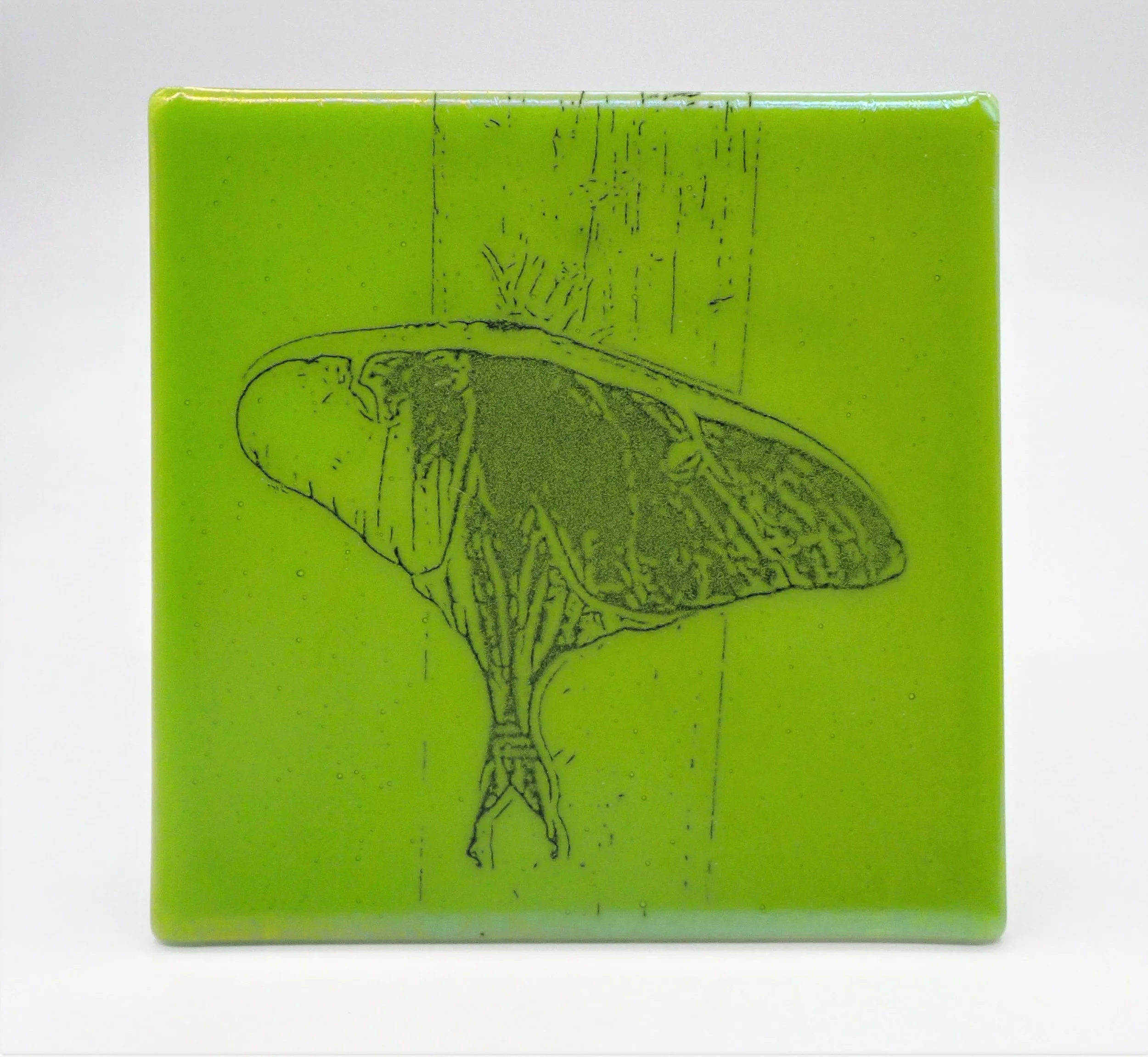 Luna Moth - Tile