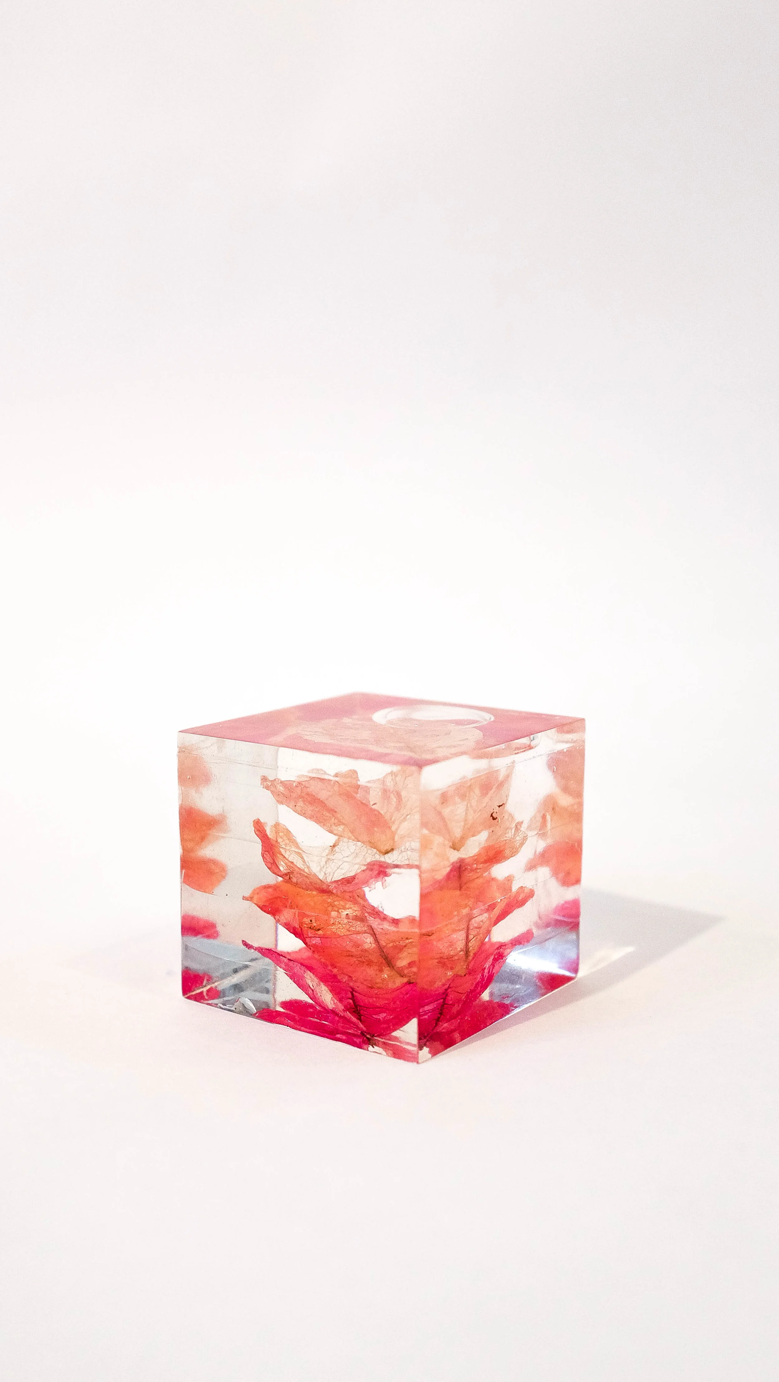 DSCF5900.jpg