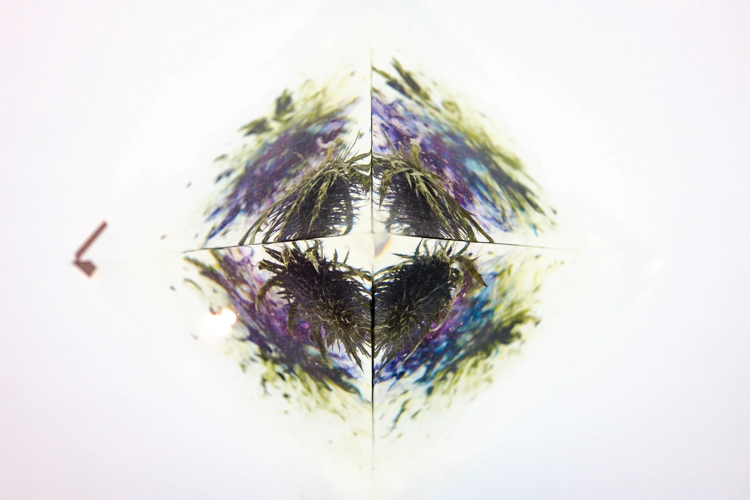 DSCF6418.jpg