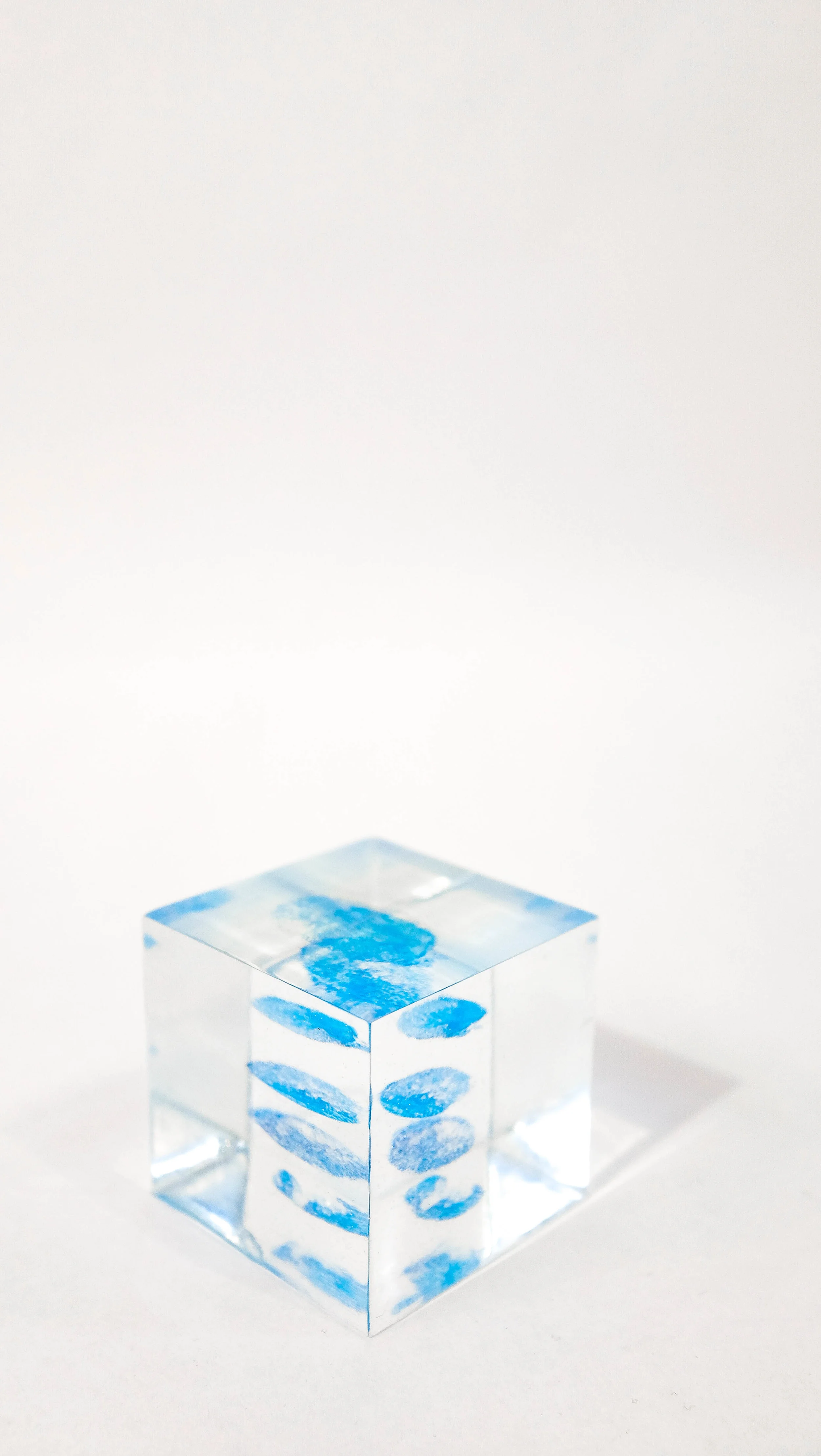 DSCF6875.jpg