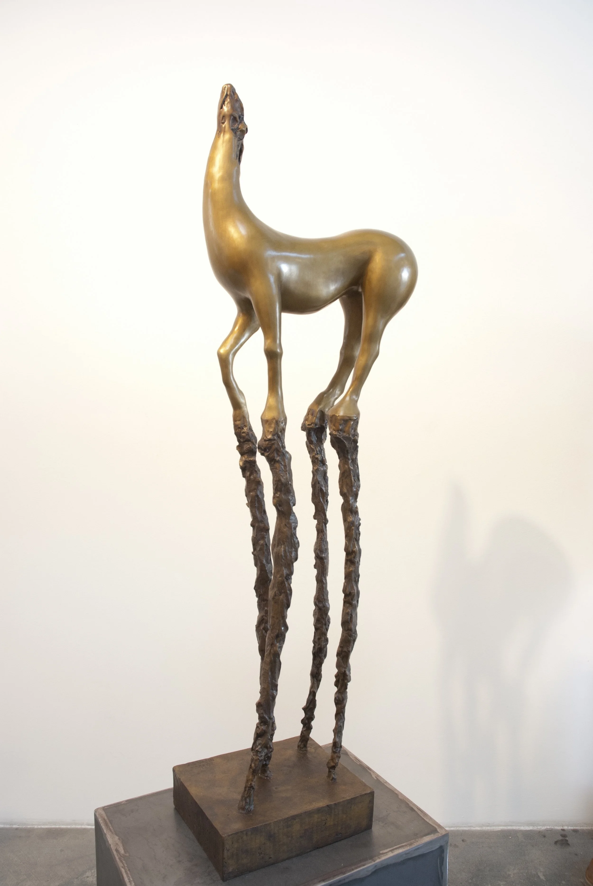 High Horse golden II.jpg