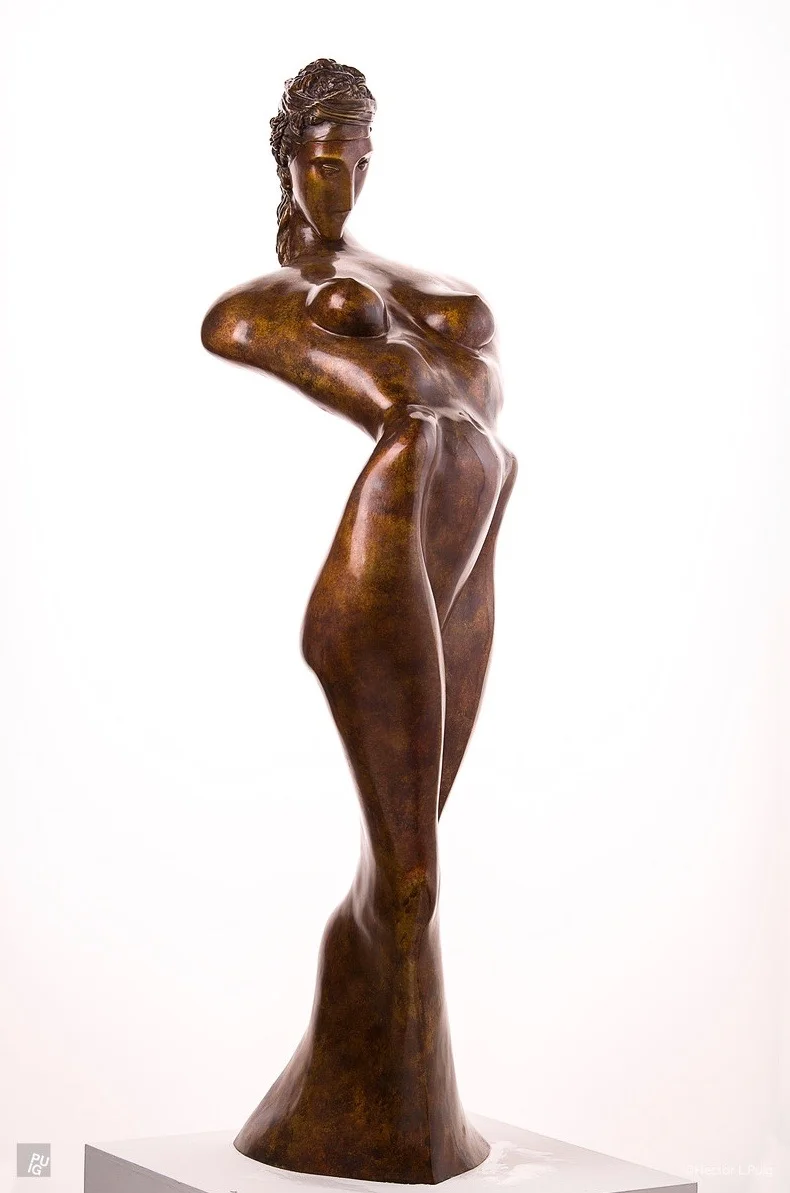 Venus.front_YGovrin.jpg