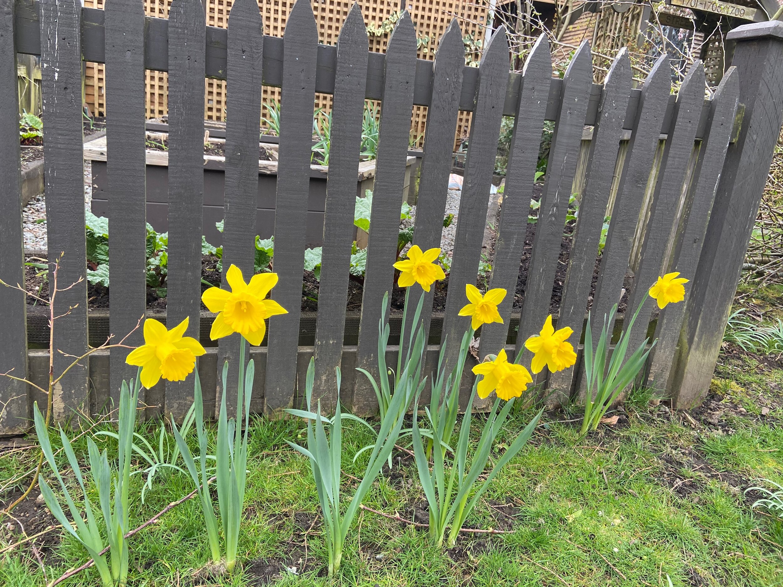 A Batch Of Relentless Firsts