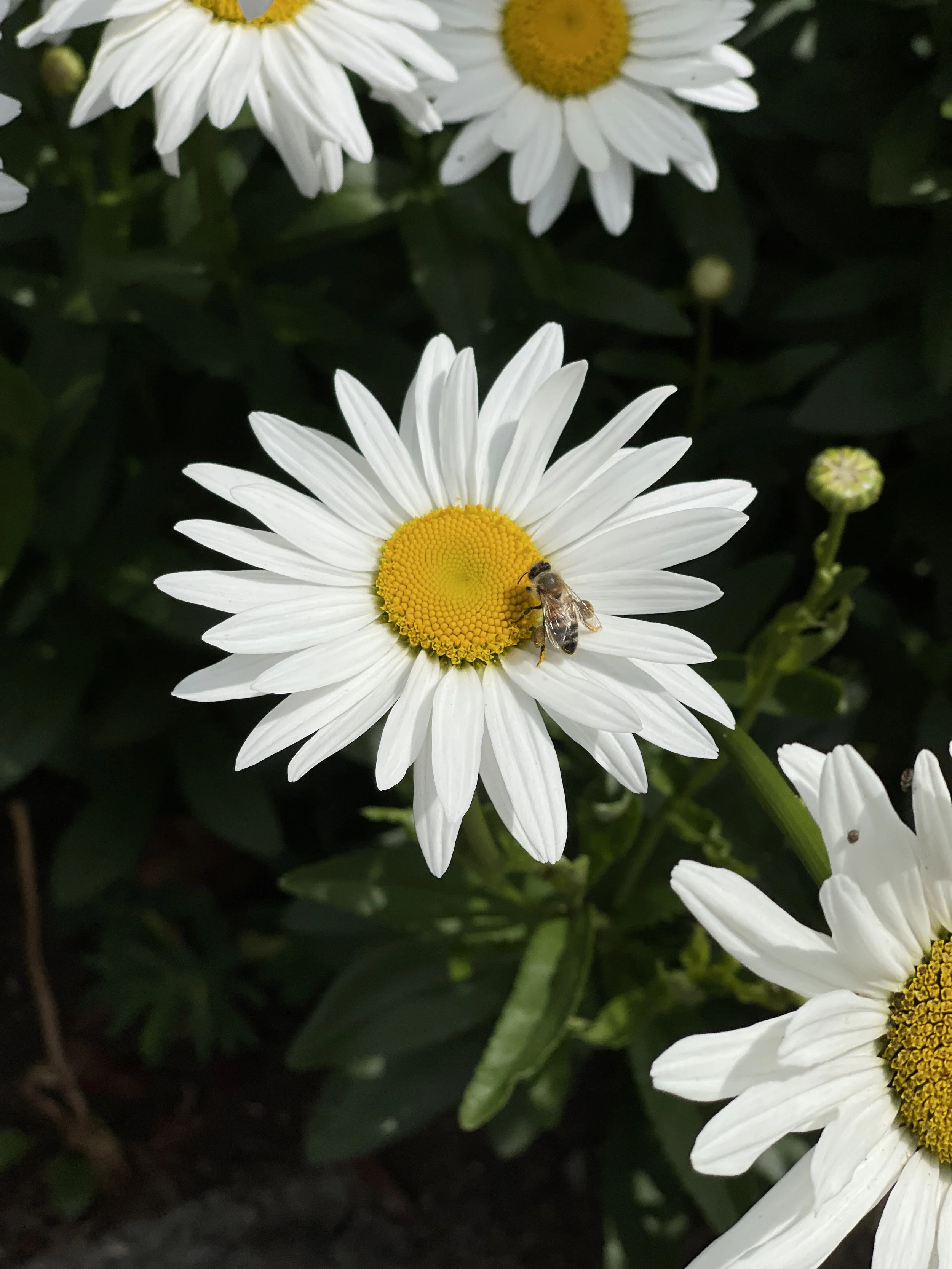 Patients &amp; Patience: It’s Personal 