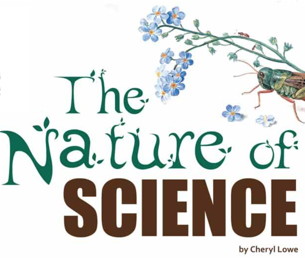 The Nature of Science
