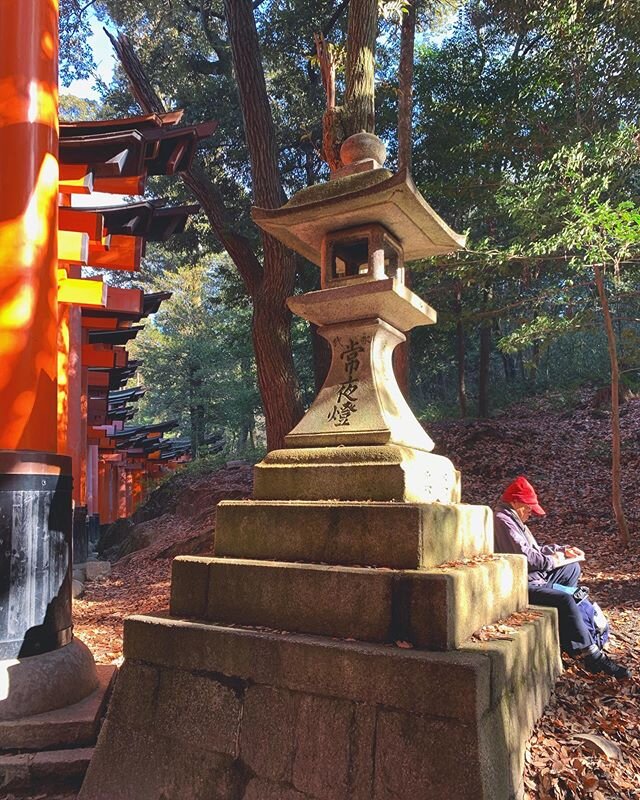 Sketching in fallen leaves 🍂at Fushimi Inari Taisha 
#marsrock #marsrocklifestyle #marsrock_lifestyle &mdash;&mdash;&mdash;&mdash;&mdash;&mdash;&mdash;&mdash;&mdash;&mdash;&mdash;&mdash;&mdash;&mdash;&mdash;&mdash;&mdash;
#japantravel #japanlife #ja