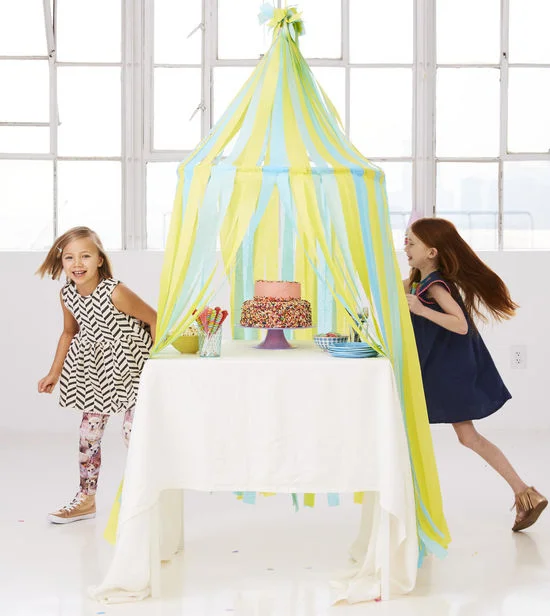 Family Fun Birthday tent photo .jpg
