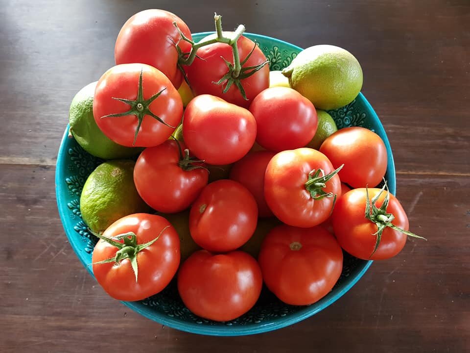 Woody's_Farm_Mororo.jpg