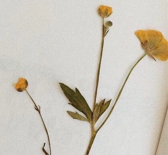 [Poem] For you to see beauty here...