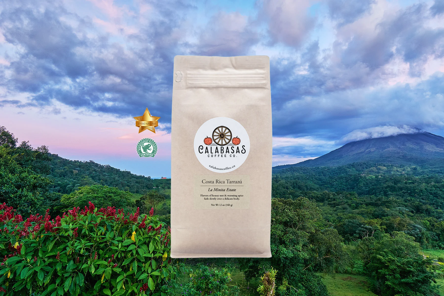 Calabasas-Coffee-Costa-Rica-Tarrazu-La-Minita-Estate.jpg