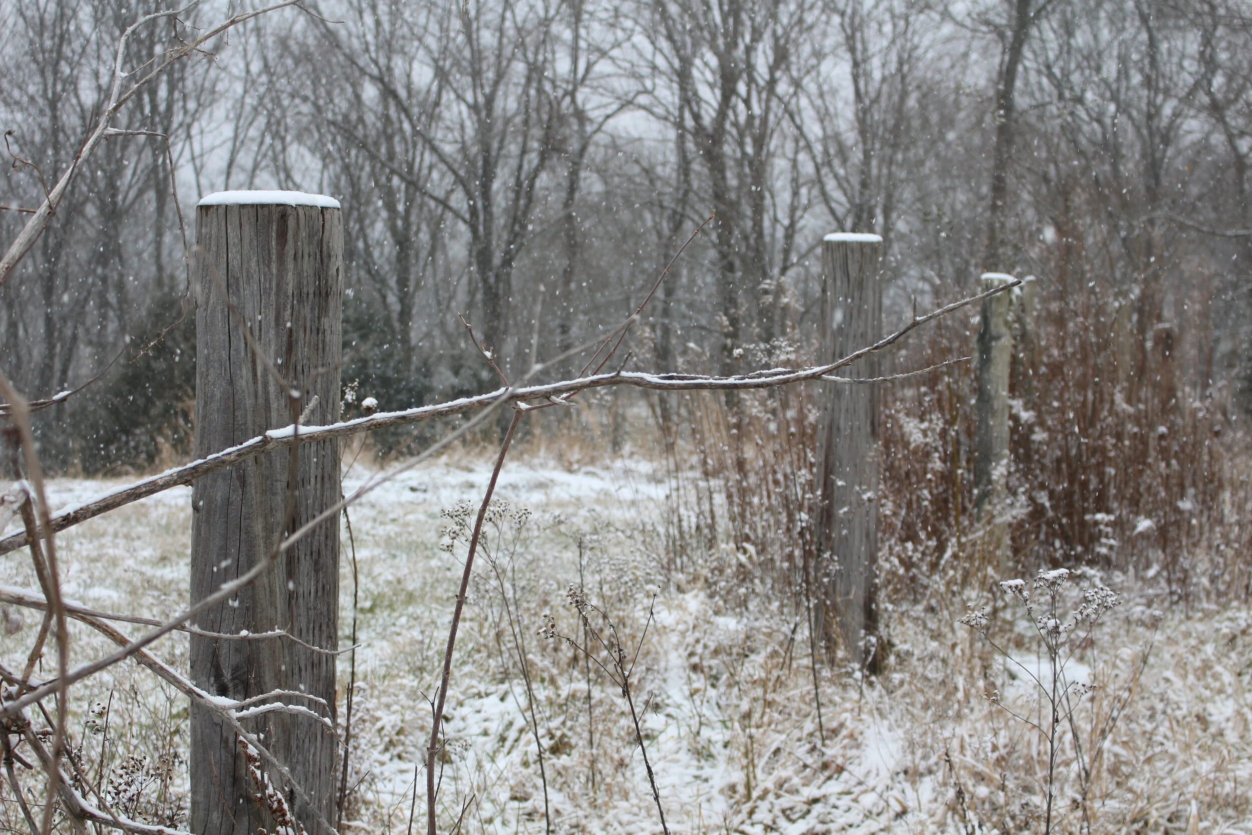 January Happenings At the Inn