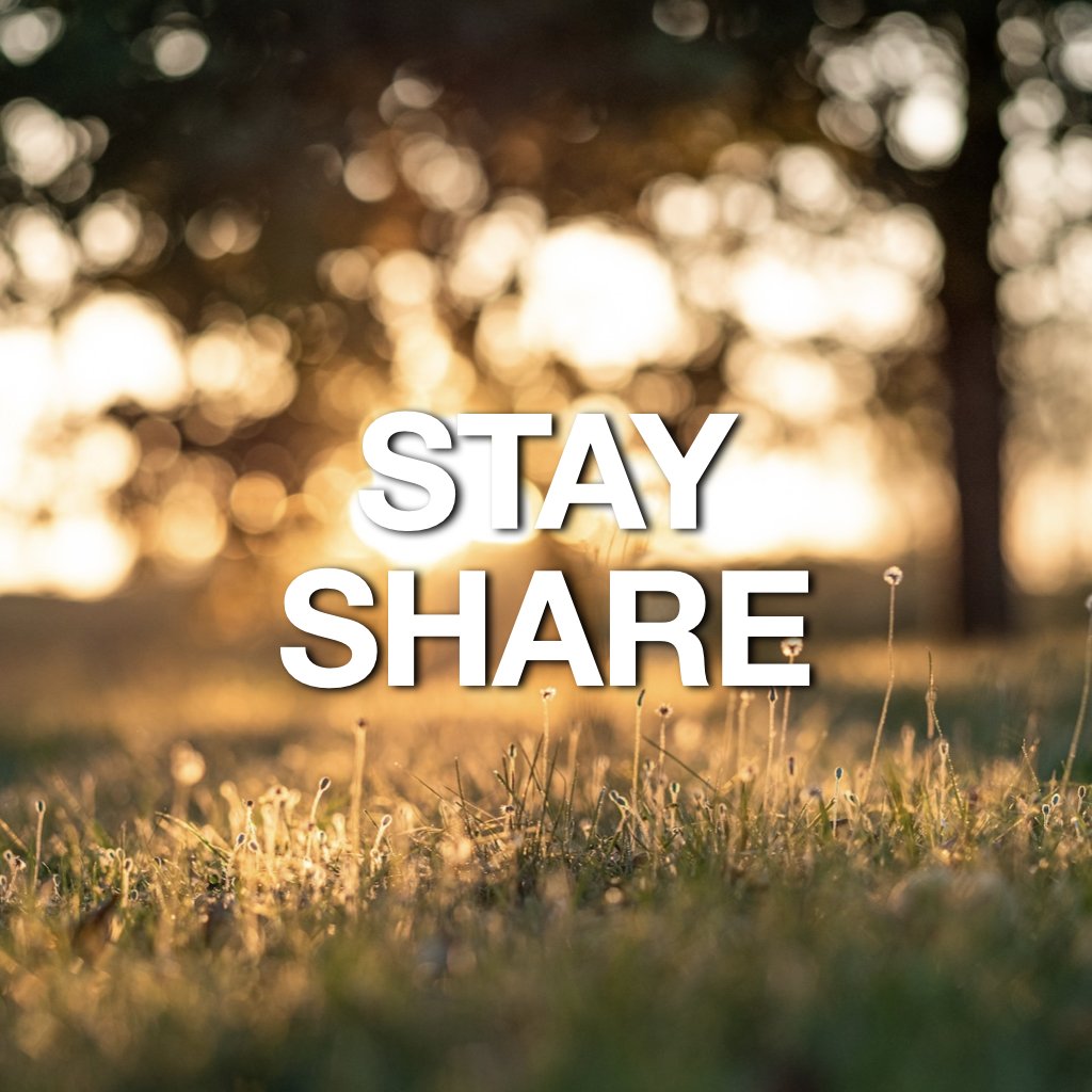 Stay Share