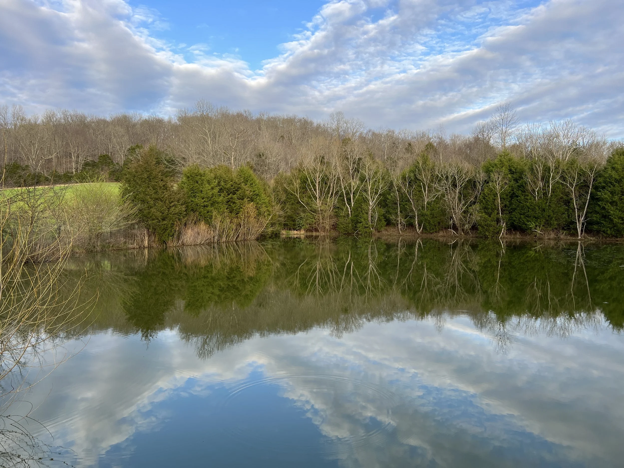 News From the Inn - Spring 2024