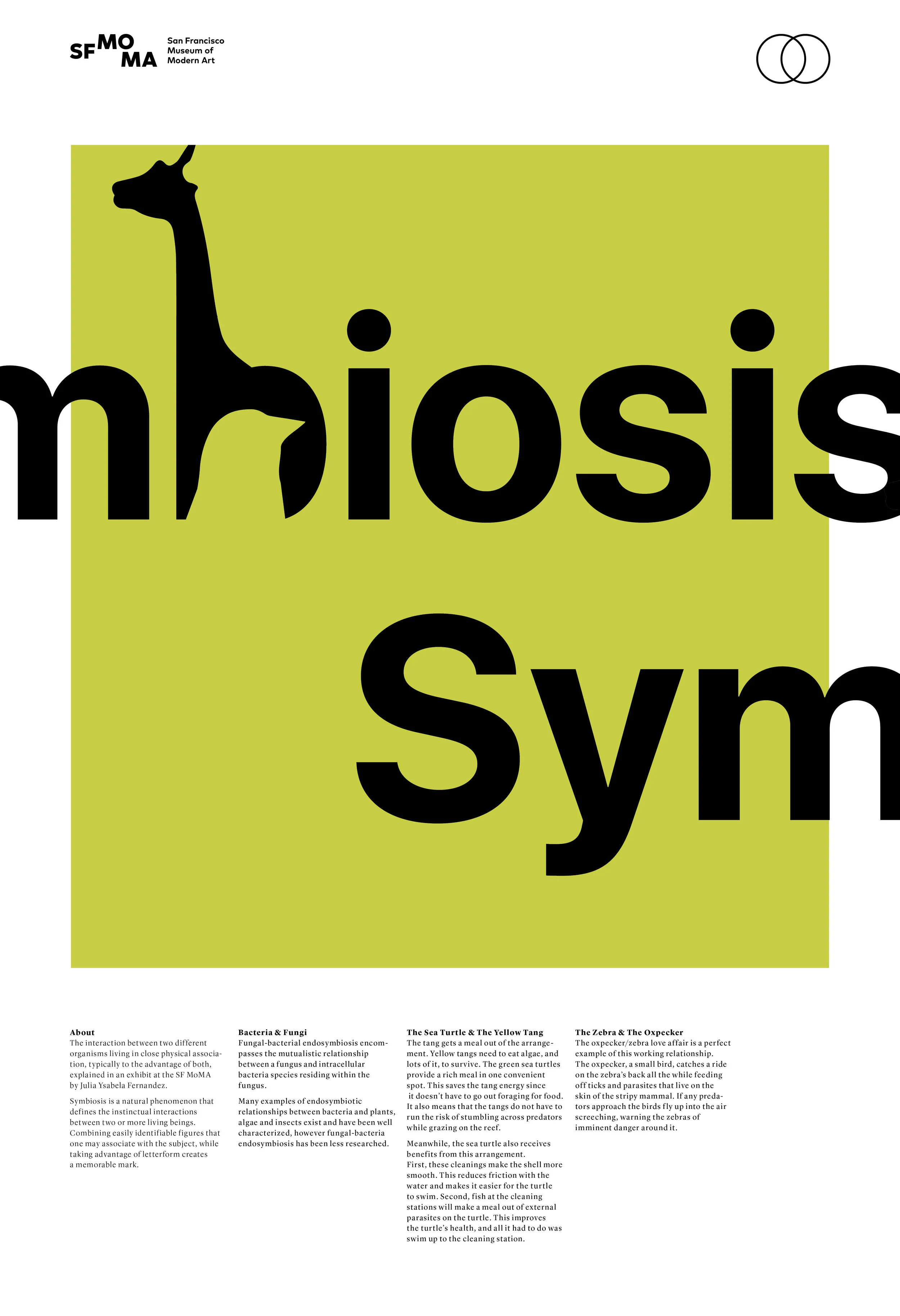Posters for Web.jpg
