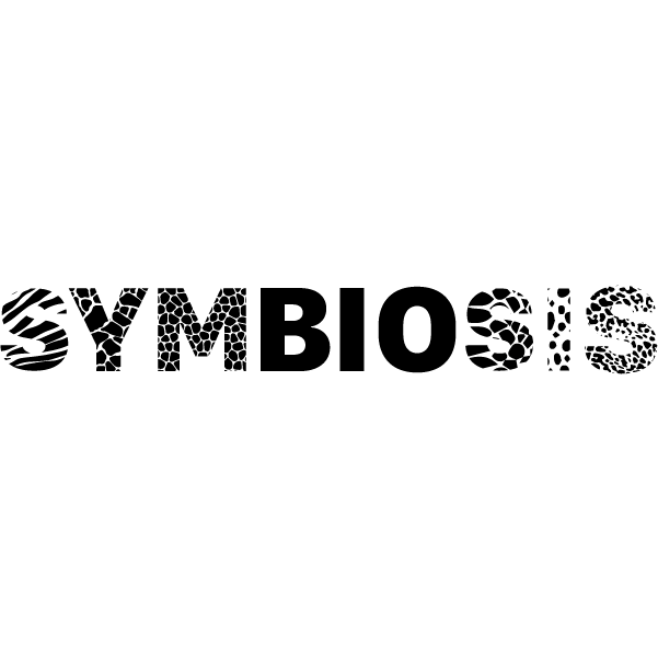 Identity-25.png