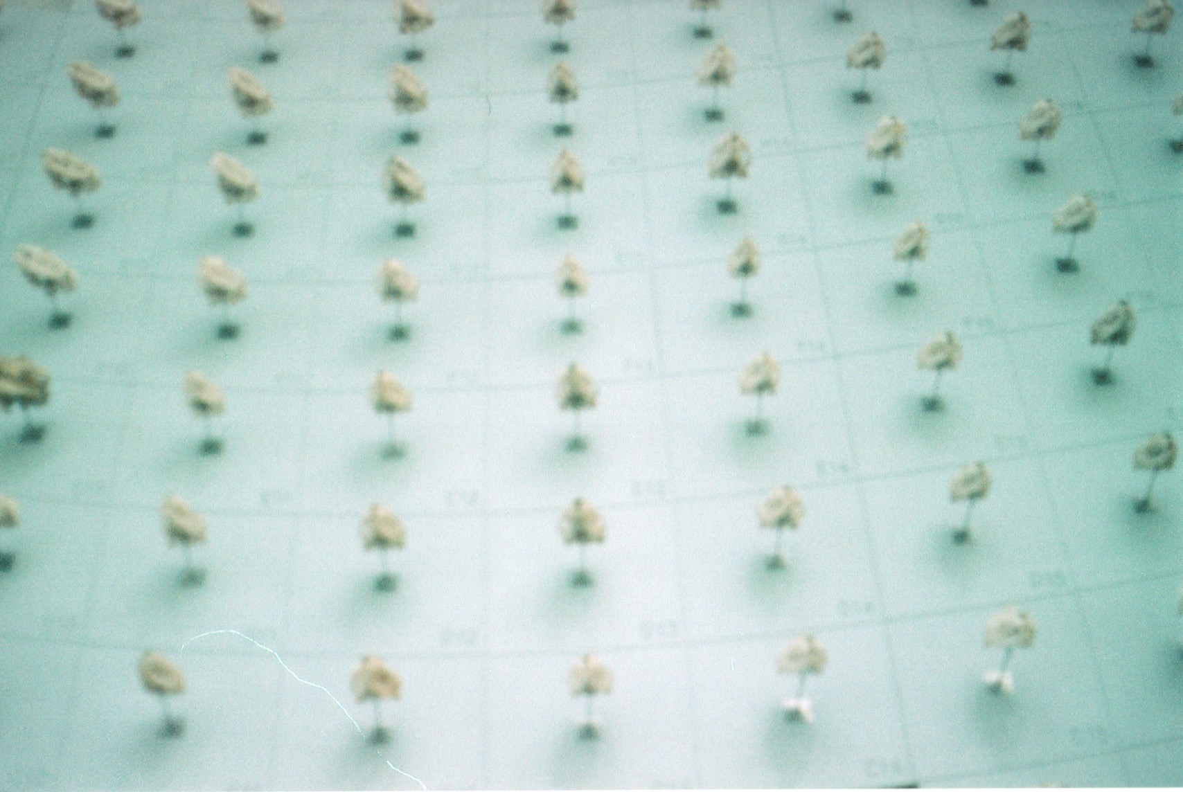 Scan 32.jpeg