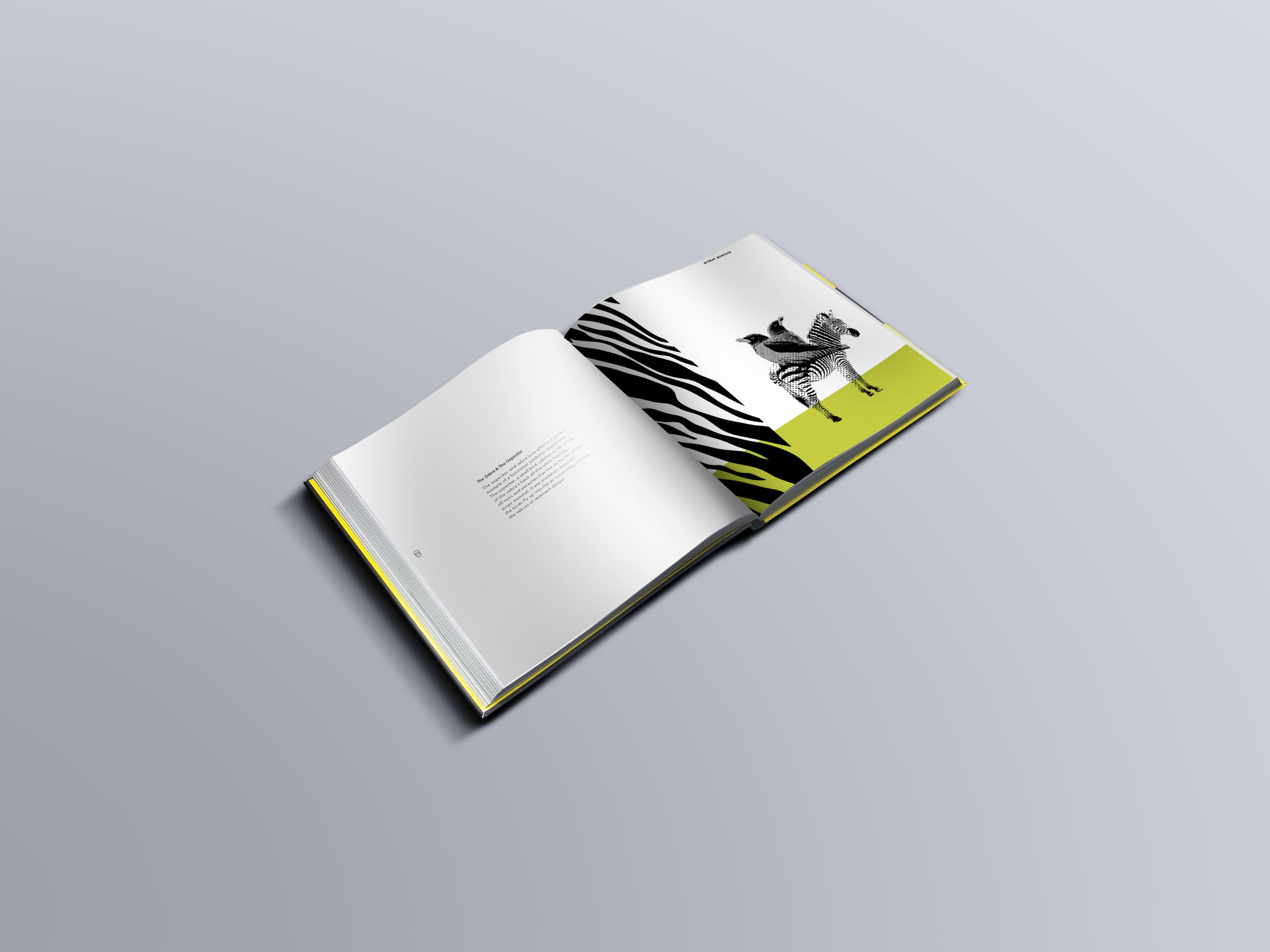 Square-Book-Mockup.png