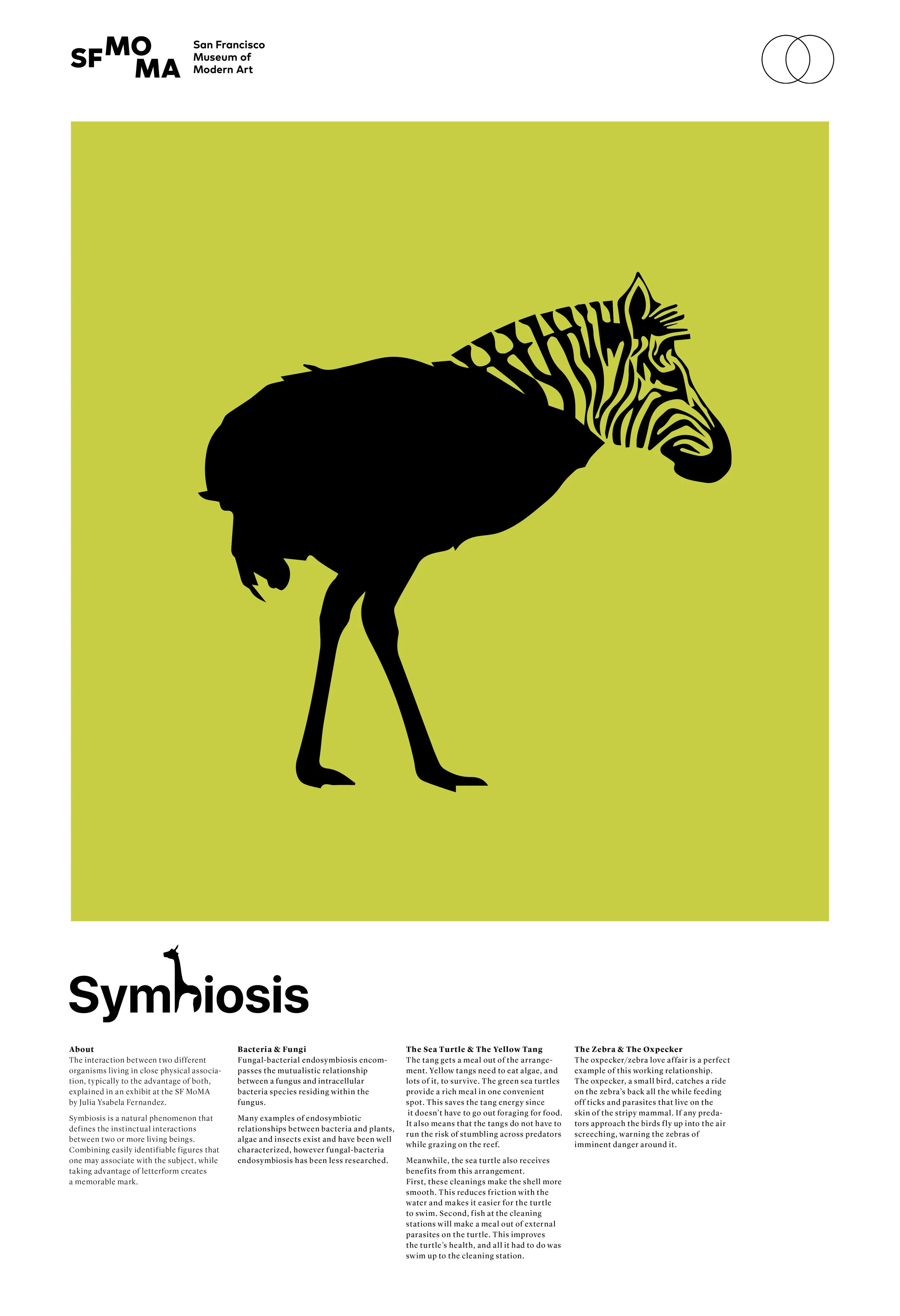 Posters for Web2.jpg