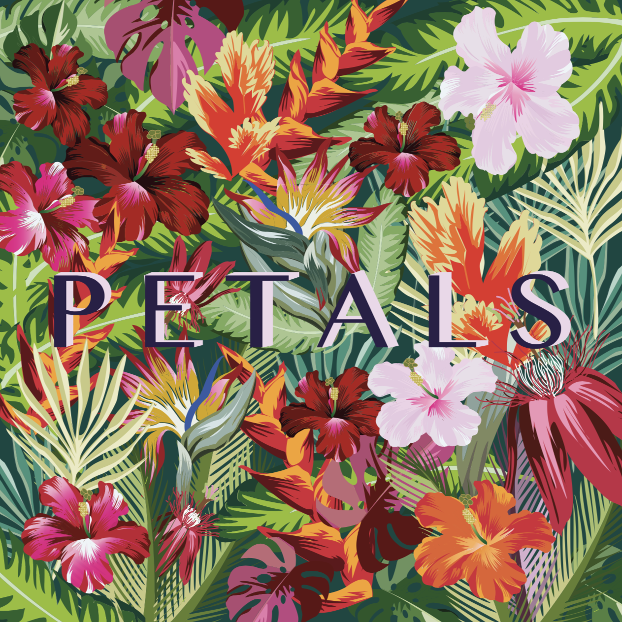 #PPT with Yarden // 12 // 'PETALS' LISTENING PARTY