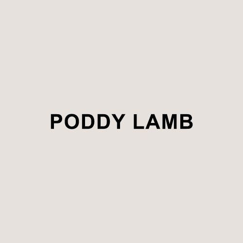 Poddy Lamb