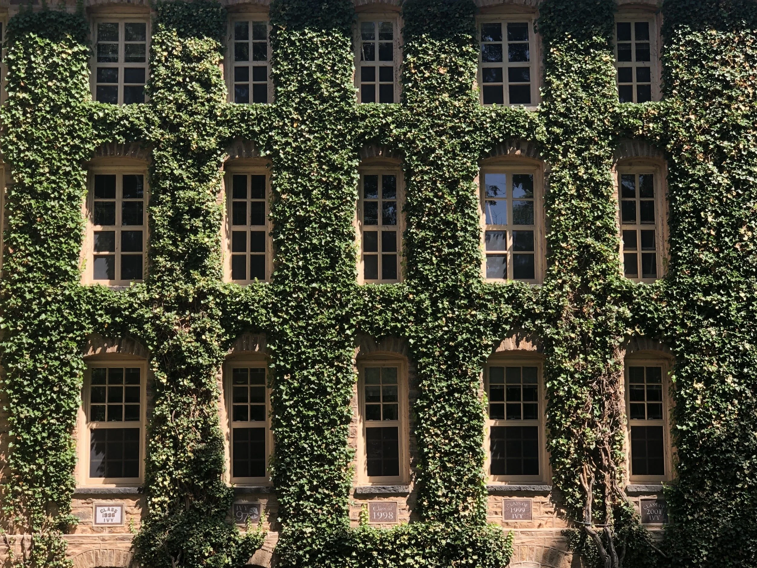 Center for Statistics and Machine Learning 2019-2020 Wrap-Up Video