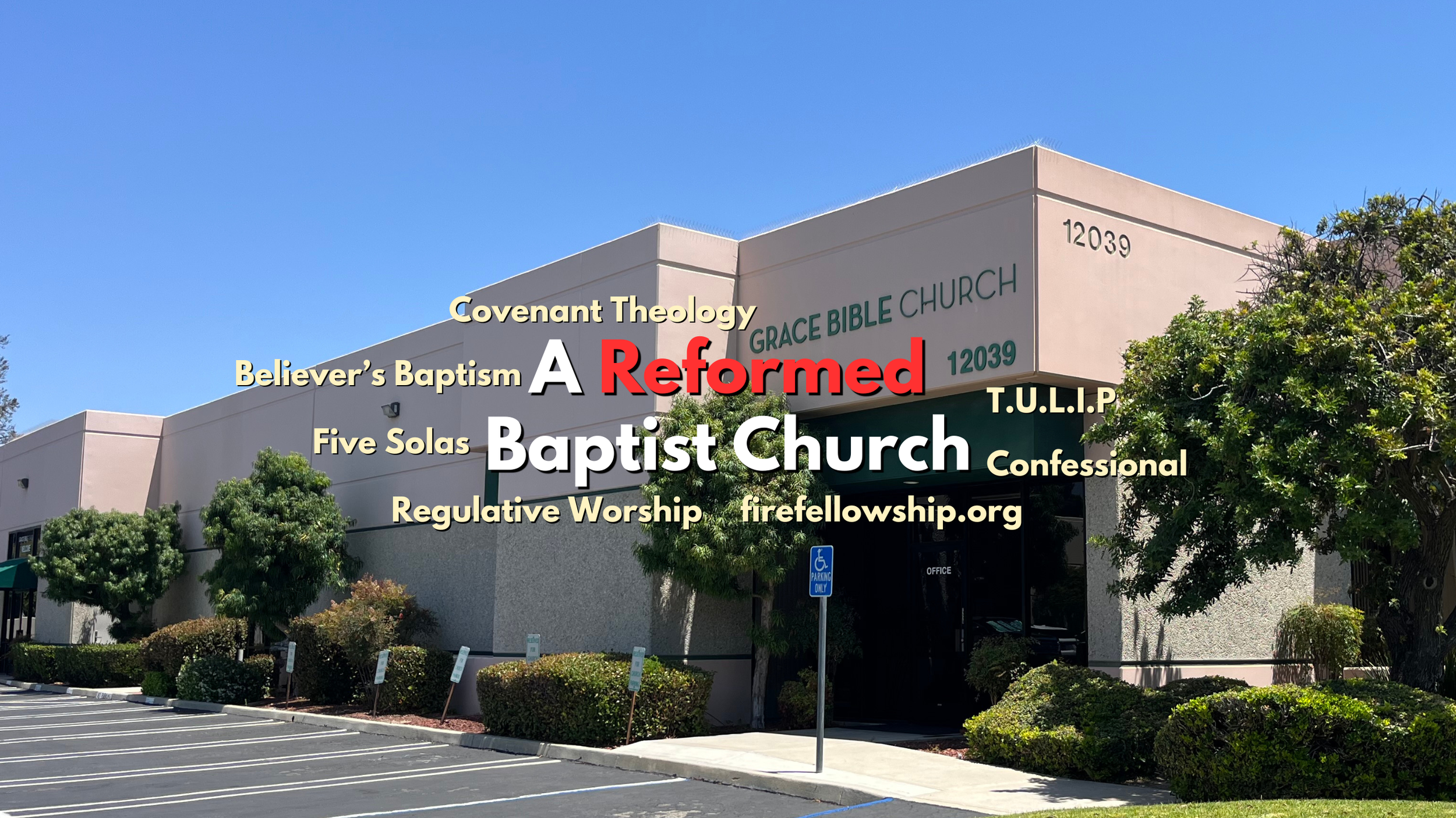 Website Banner 1.png