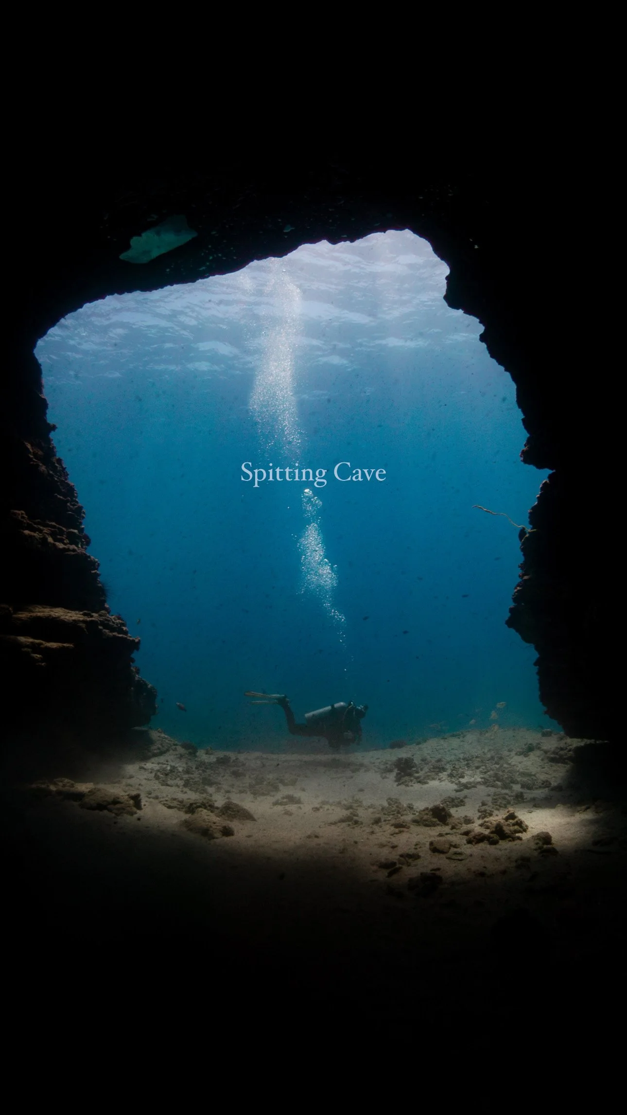 [Spitting Cave] Oahu Scuba Diving