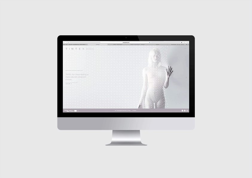 fashion-makers_site_tintex.gif