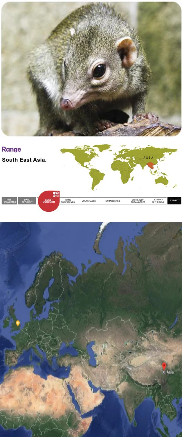 MAMMALS — Shaldon Zoo