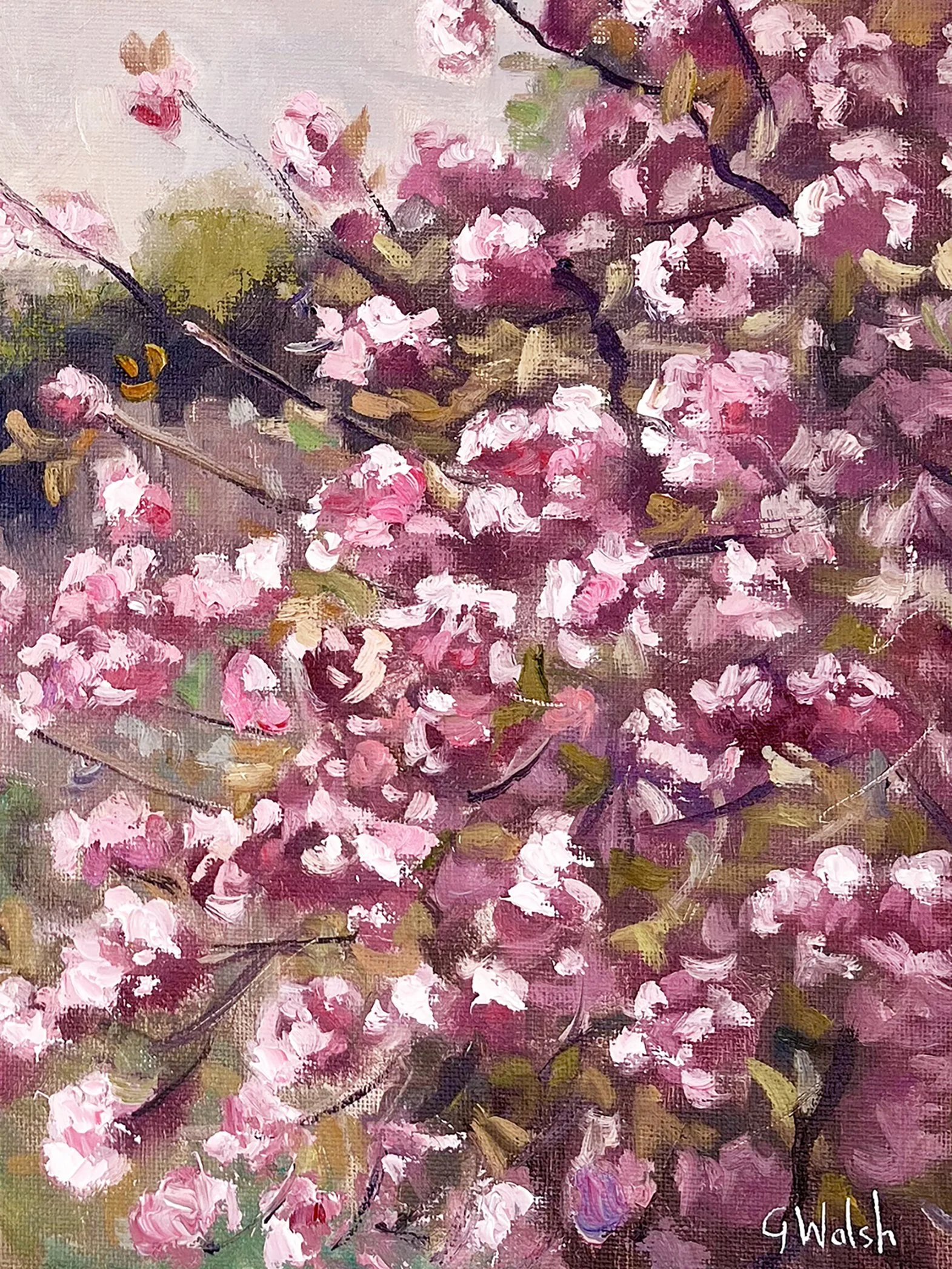 5 May cherry blossom.jpg