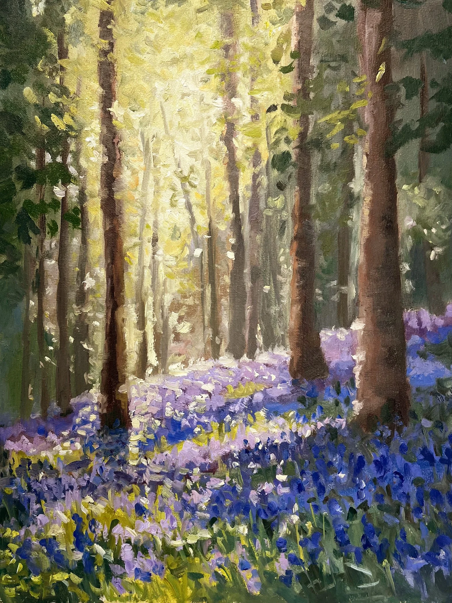 4 Apr Bluebells 4 x 3.jpg