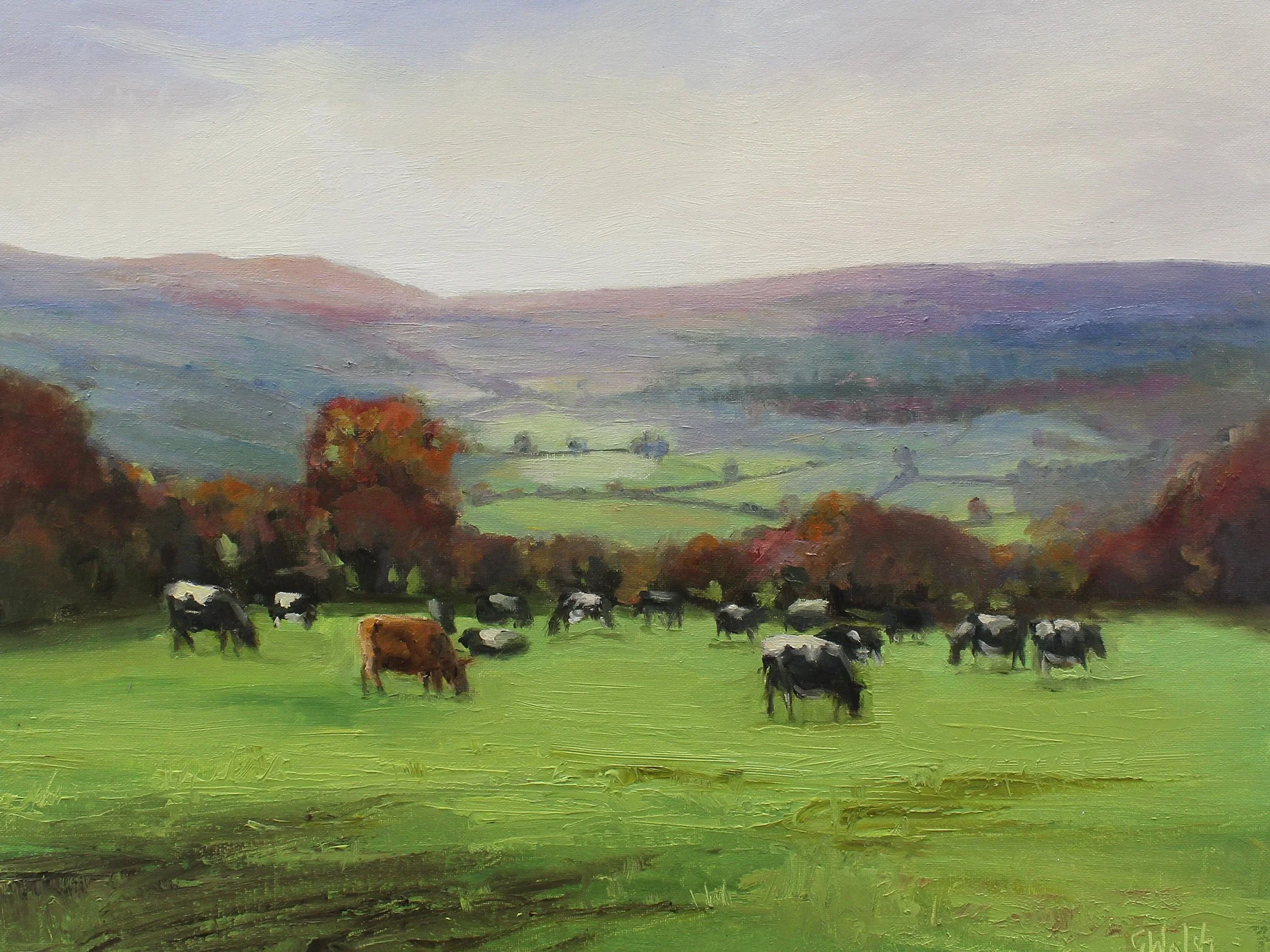 A peaceful scene of cows in the Irish fields. "Home is where the Heart is" fine art print by Geraldine Walsh.