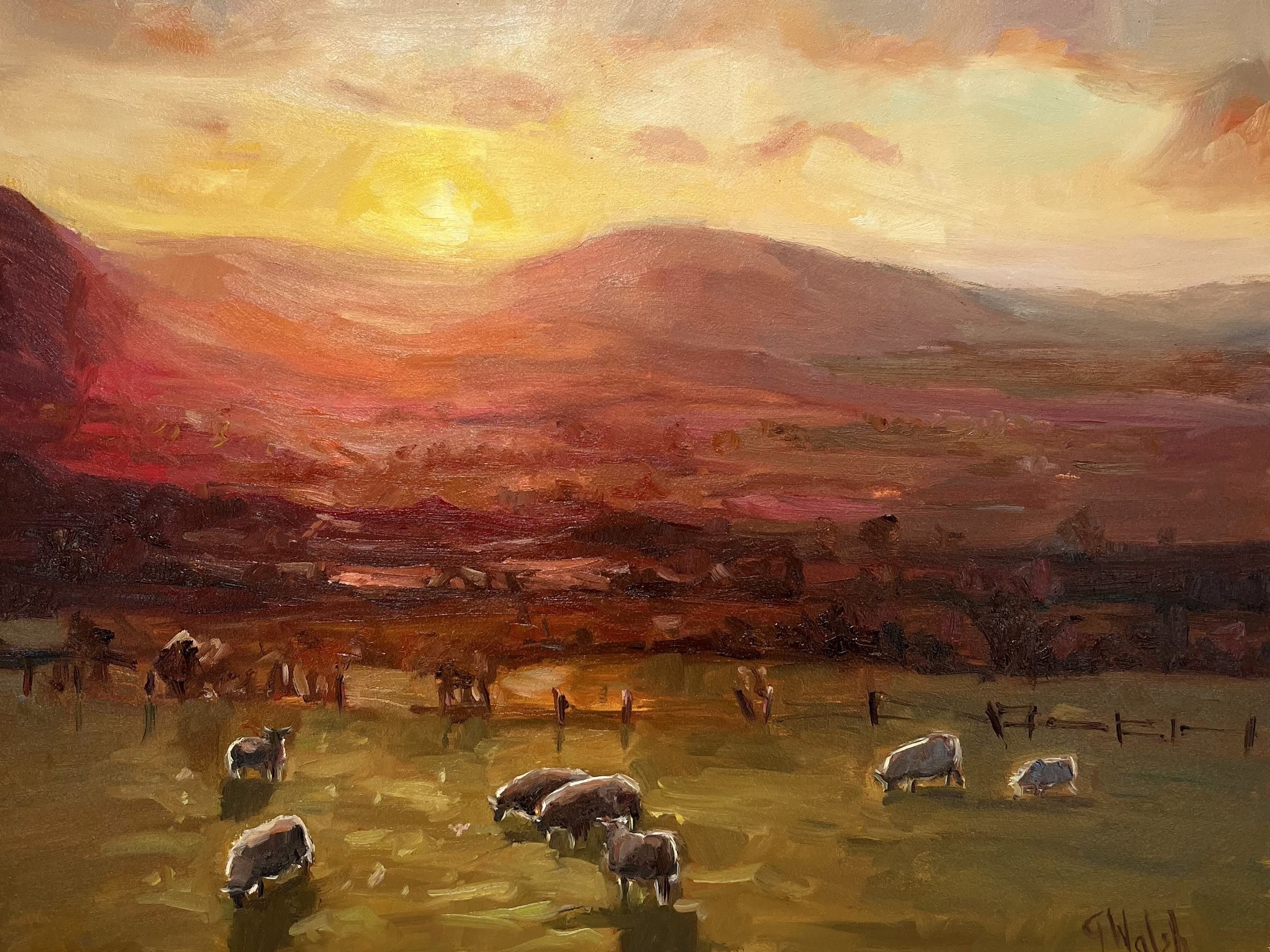 Early Start 40x30cm.jpg