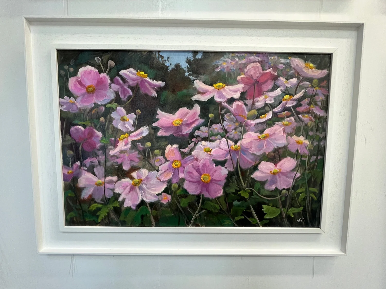 Dancing pink Anemone — Geraldine Walsh Art
