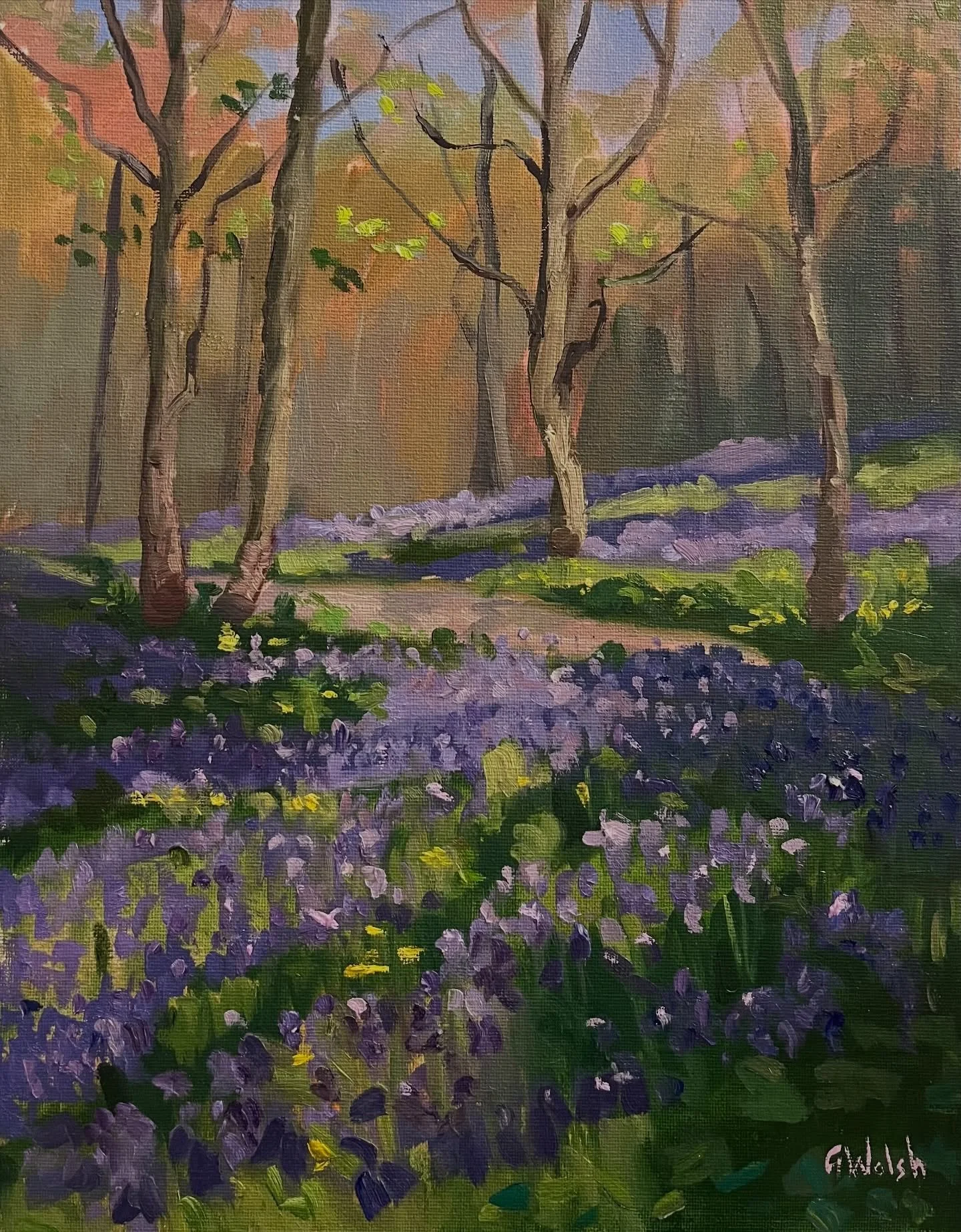 🎄 Day 12 of my 12 Days of Christmas Specials 🎄

Rounding things off with another bluebell painting, painted plein air at Tintern. I loved trying to catch that soft, diffused woodland light that makes the place feel so calm and timeless.

🖌 Oil on 