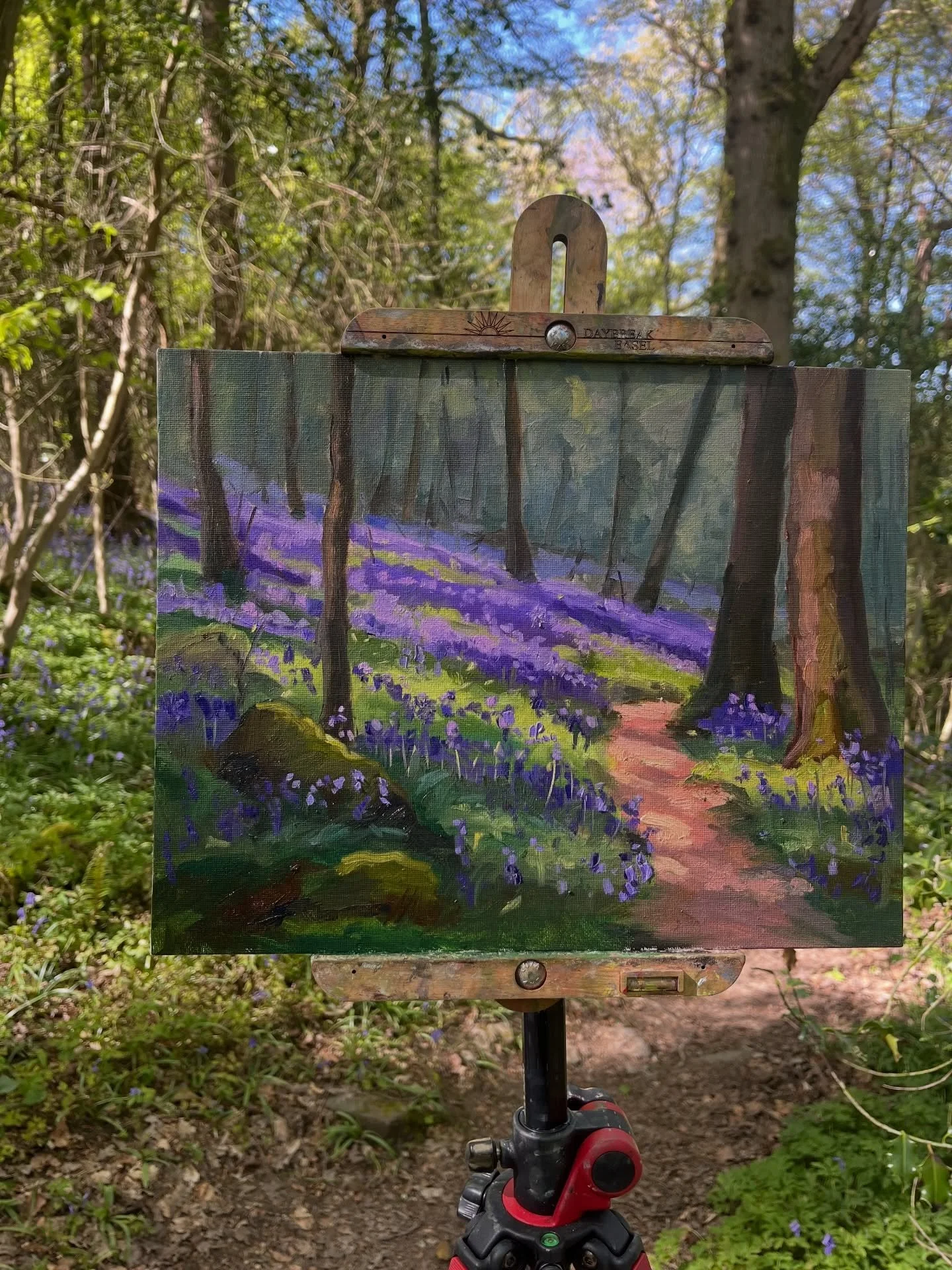 Gorgeous afternoon painting the bluebells at Grennan wood in Thomastown ,days like this are good for the soul 🥰✨🎨 #bluebellwoods #pleinair