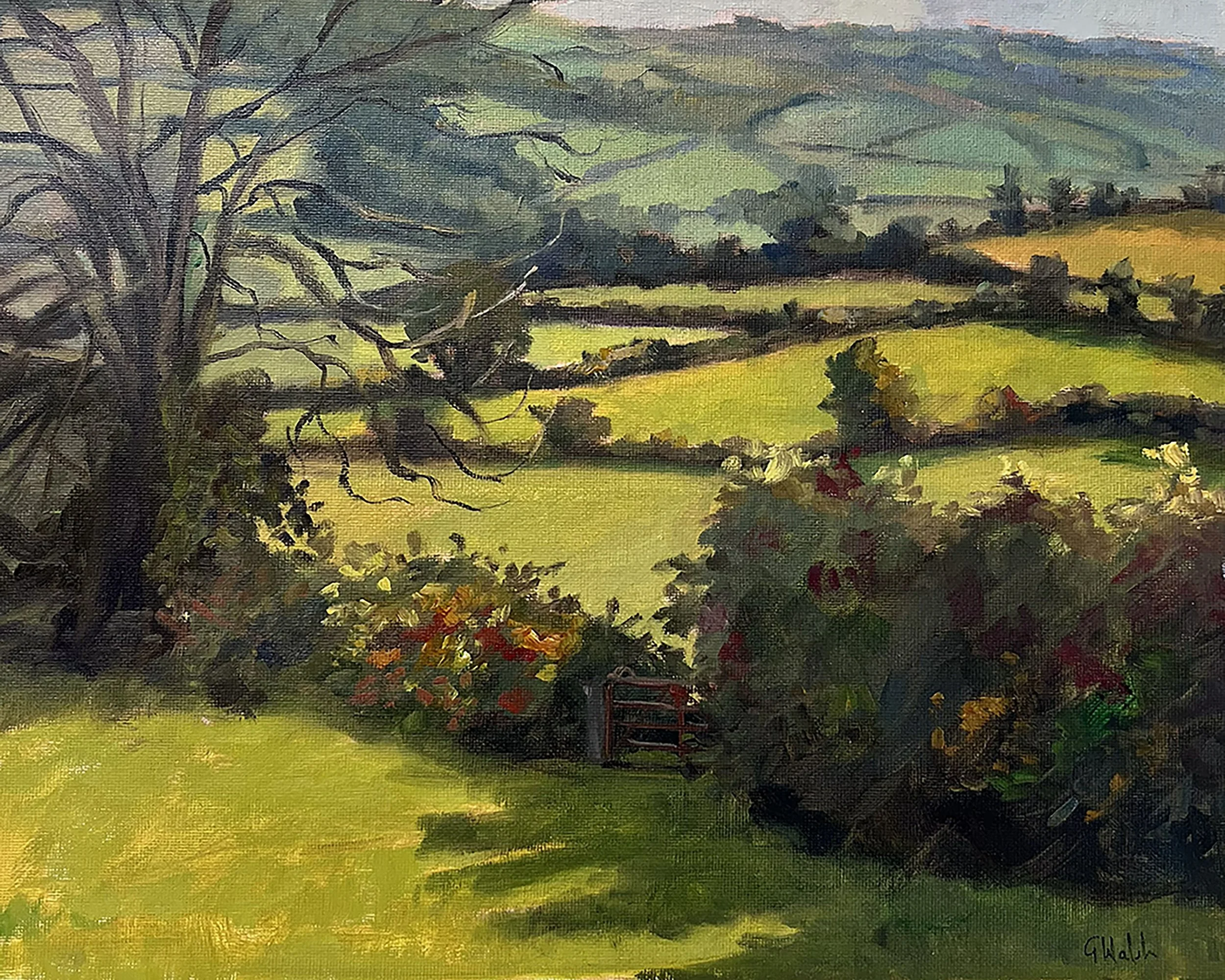 View from St Molings.jpg